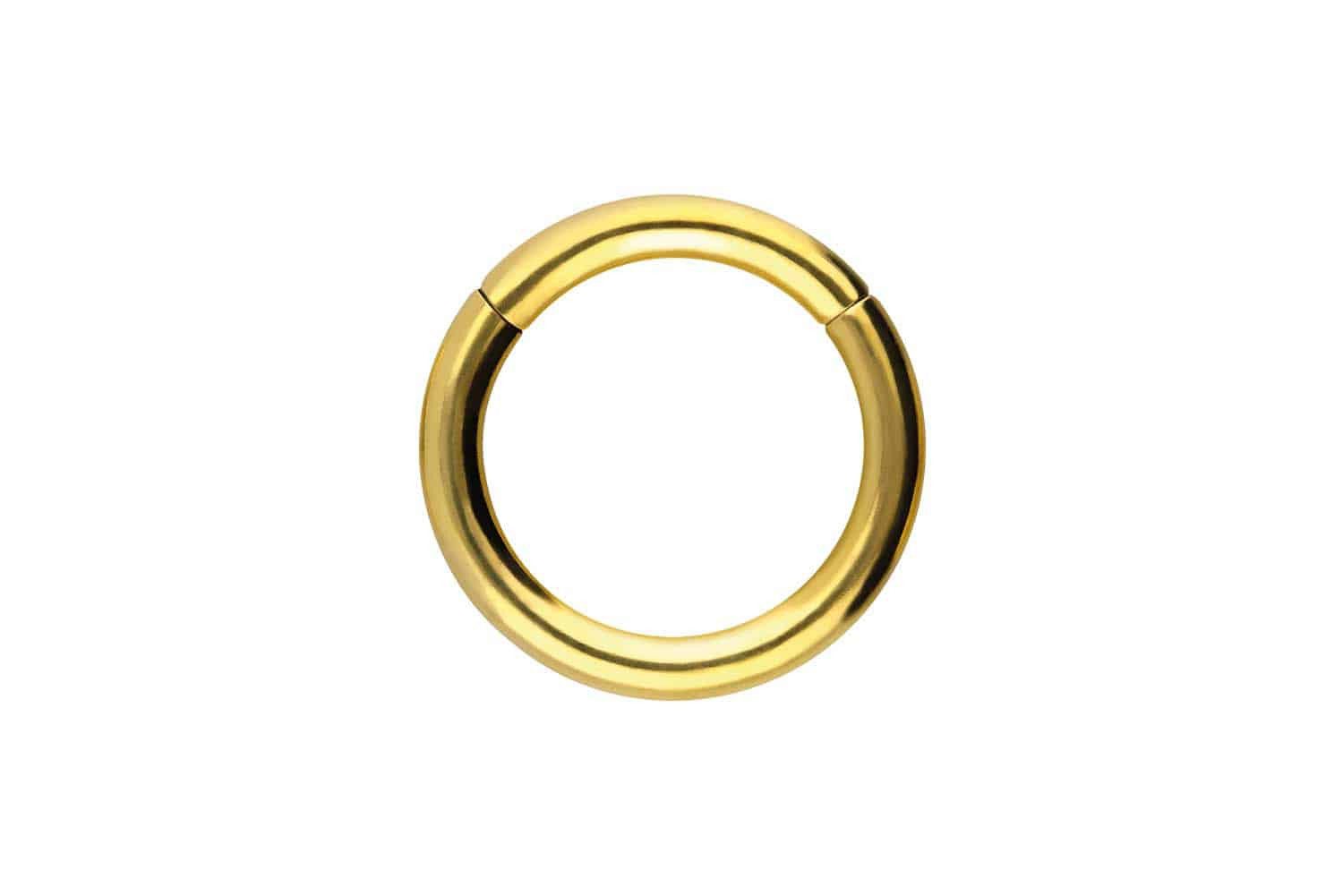 PIERCINGLINE Piercing-Set Titan Segmentring Clicker (Clicker günstig online kaufen