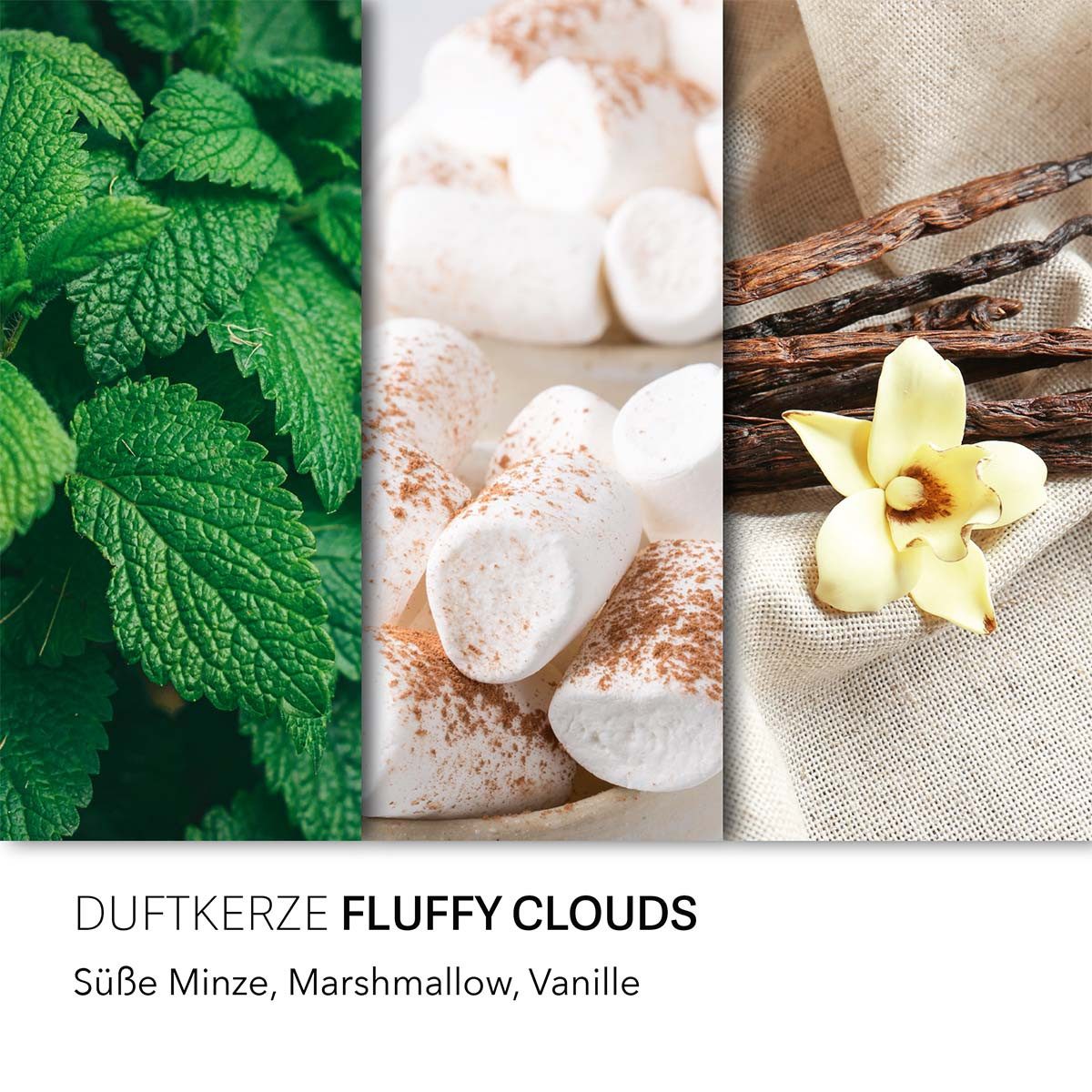 HARIBO Duftkerze Haribo Fluffy Clouds - günstig online kaufen