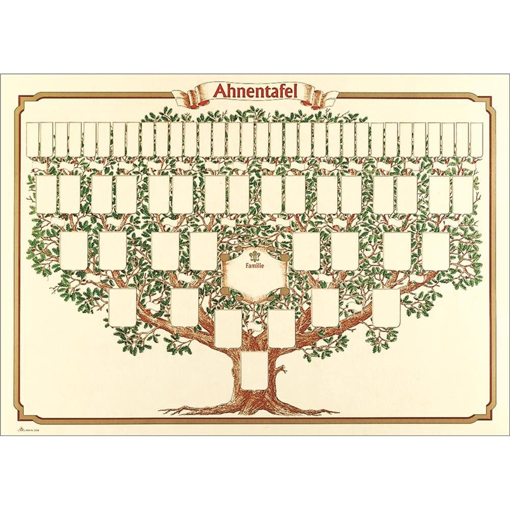 RNK Verlag Notizbuch Schmuck-Ahnentafel Skizzierter Baum 6 Generationen 70 x 50 cm, Stammbaum