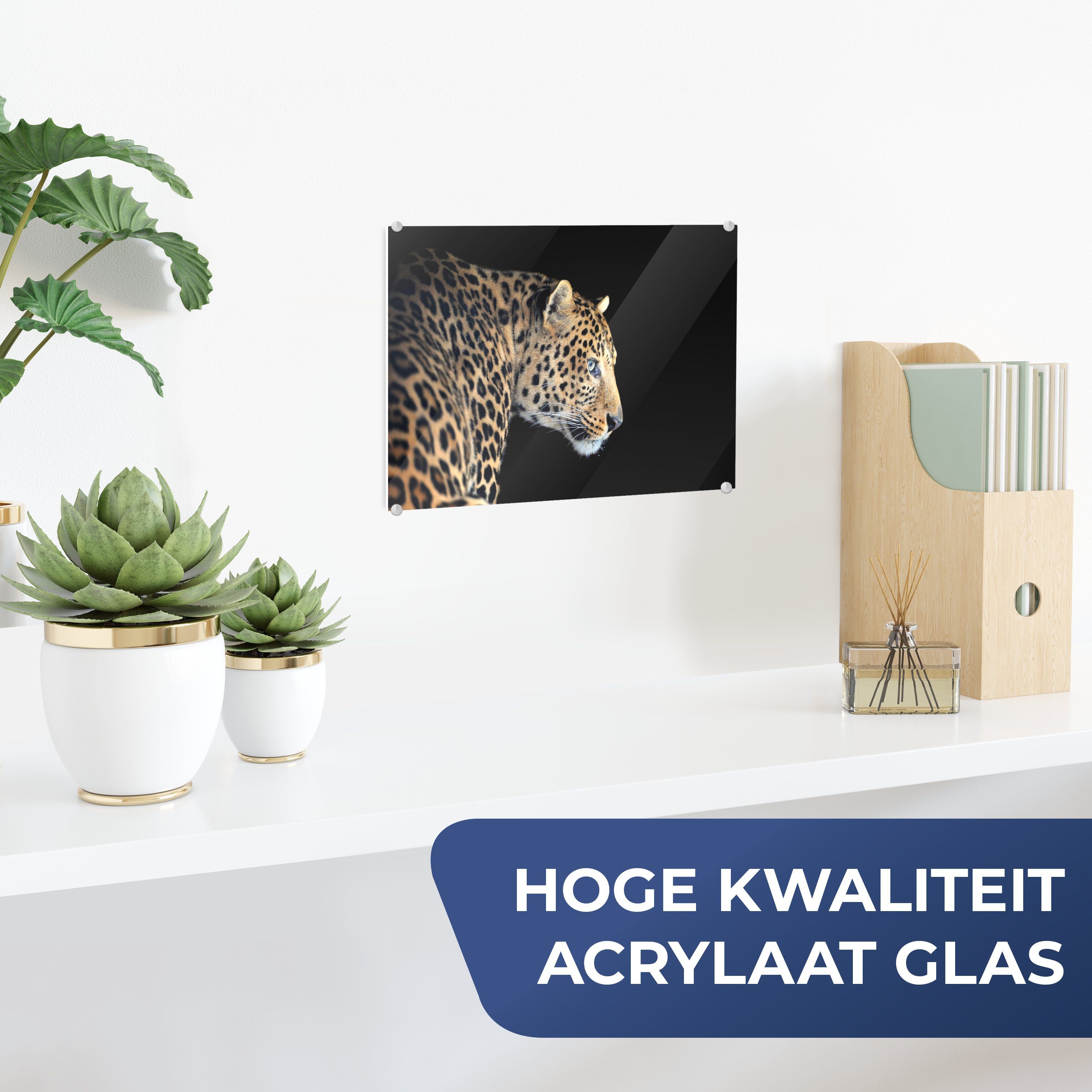 MuchoWow Acrylglasbild Leopard - Bilder St), auf Glasbilder (1 Foto auf Schwarz, - - - Profil Wanddekoration Glas Glas - Wandbild