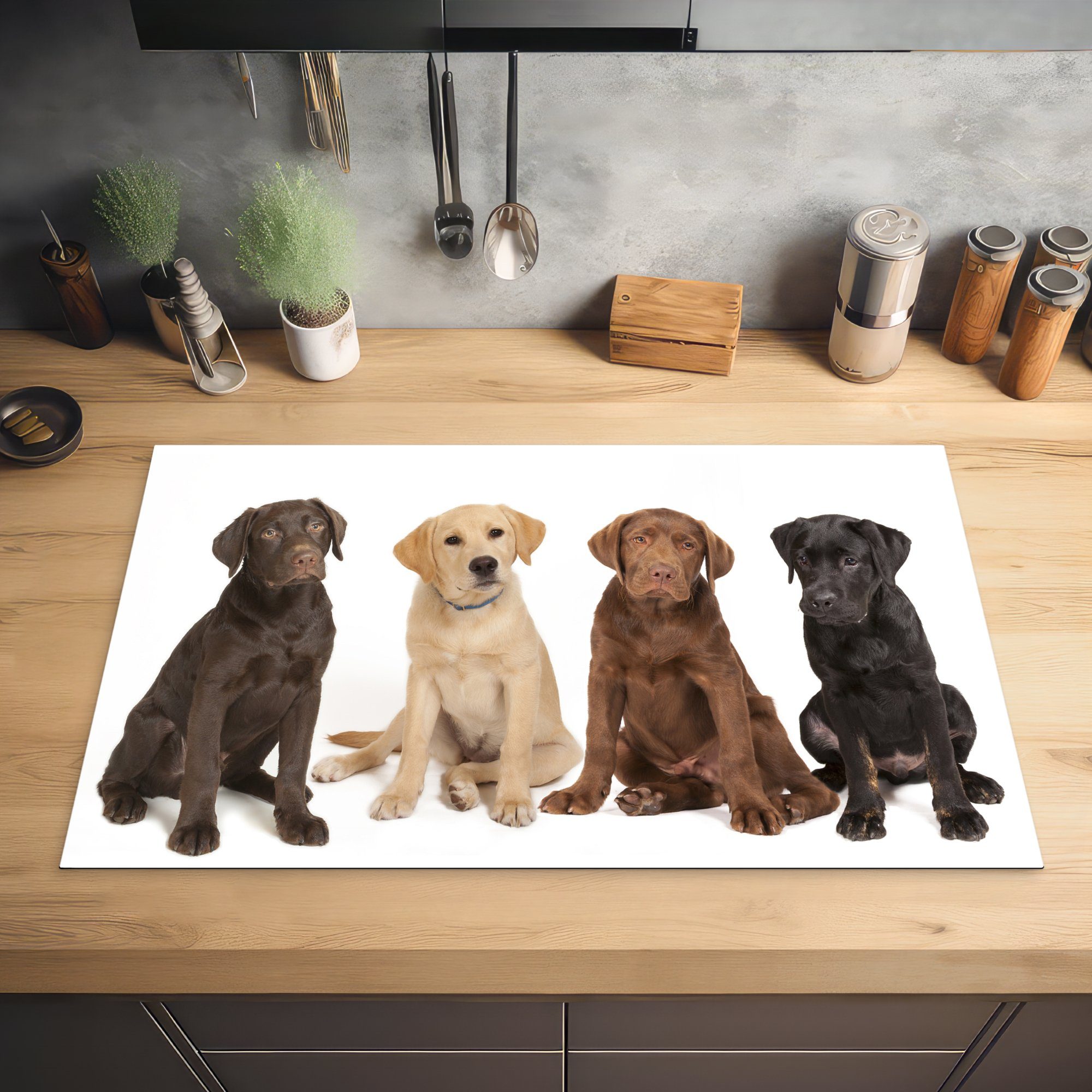 Ceranfeldabdeckung, für 4 83x51 Retriever Herdblende-/Abdeckplatte Vinyl, Welpen, cm, verschiedenfarbige Labrador MuchoWow (1 küche tlg), Arbeitsplatte