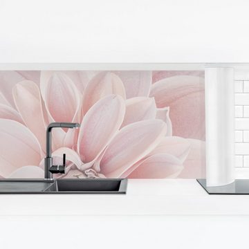 Bilderdepot24 Küchenrückwand rosa dekor Blumen Wandpaneel Küche Dahlie in Puderrosa, (1-tlg., Nischenrückwand - für Fliesenspiegel ohne Bohren - matt), Spritzschutz Rückwand Küche Herd - Folie selbstklebend versch. Größen
