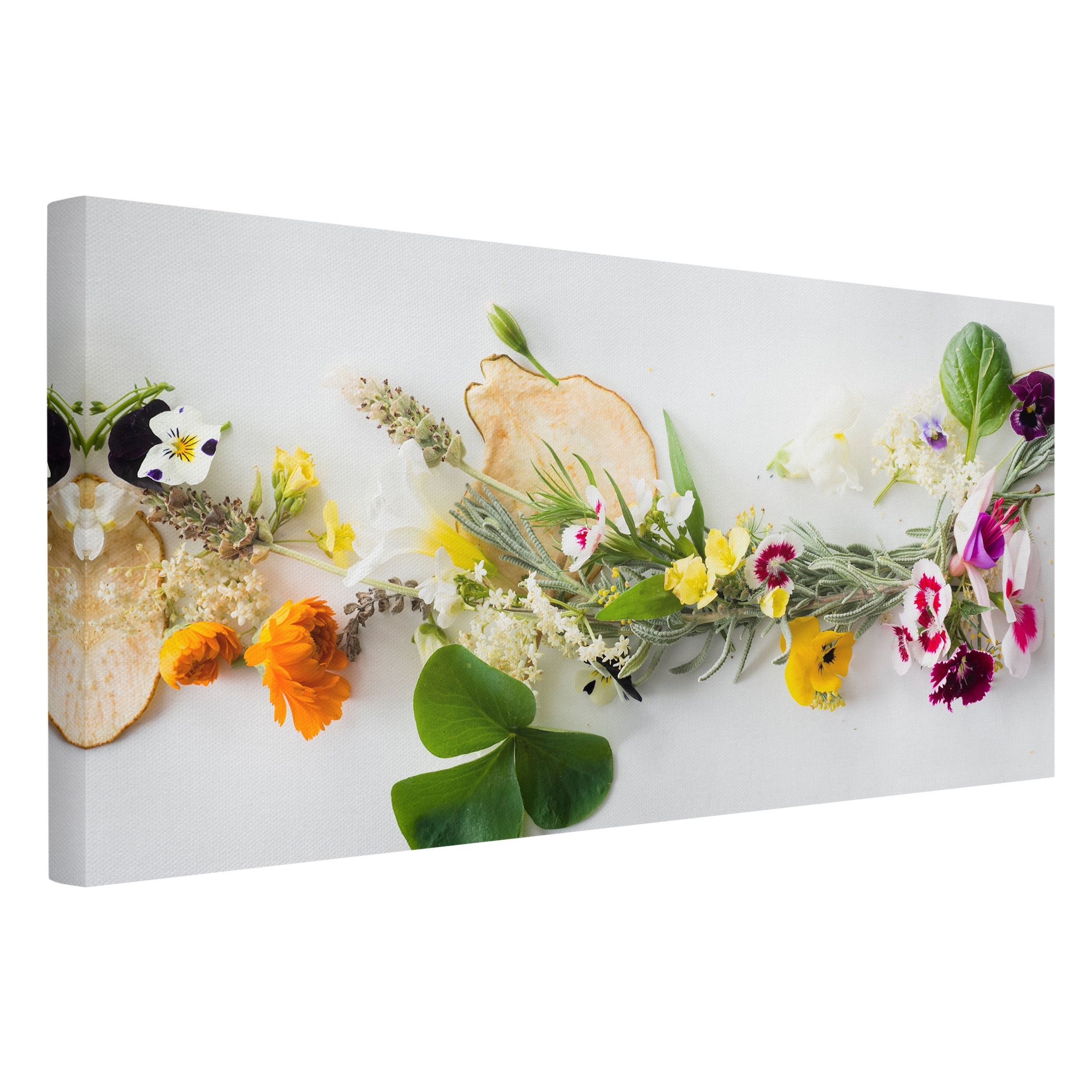 Bilderdepot24 Leinwandbild Küchenbild Modern Frische Kräuter günstig online kaufen