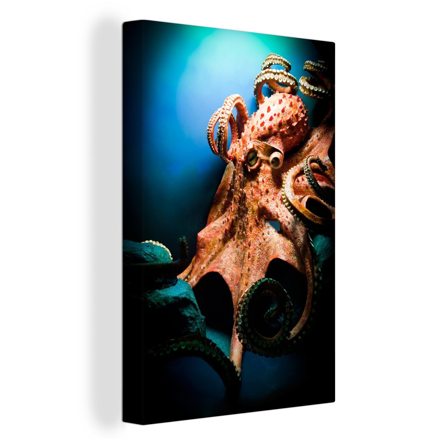 OneMillionCanvasses® Leinwandbild Oktopus tief unter Wasser, (1 St), Leinwandbild fertig bespannt inkl. Zackenaufhänger, Gemälde, 20x30 cm