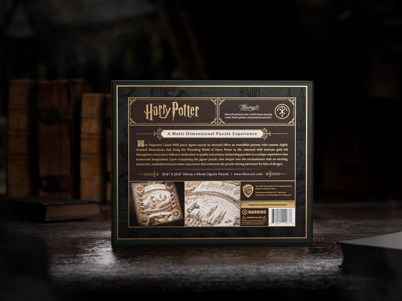 Theory11 Puzzle Harry Potter Multi-Dimensionales Puzzle (1000 Teile), Puzzleteile