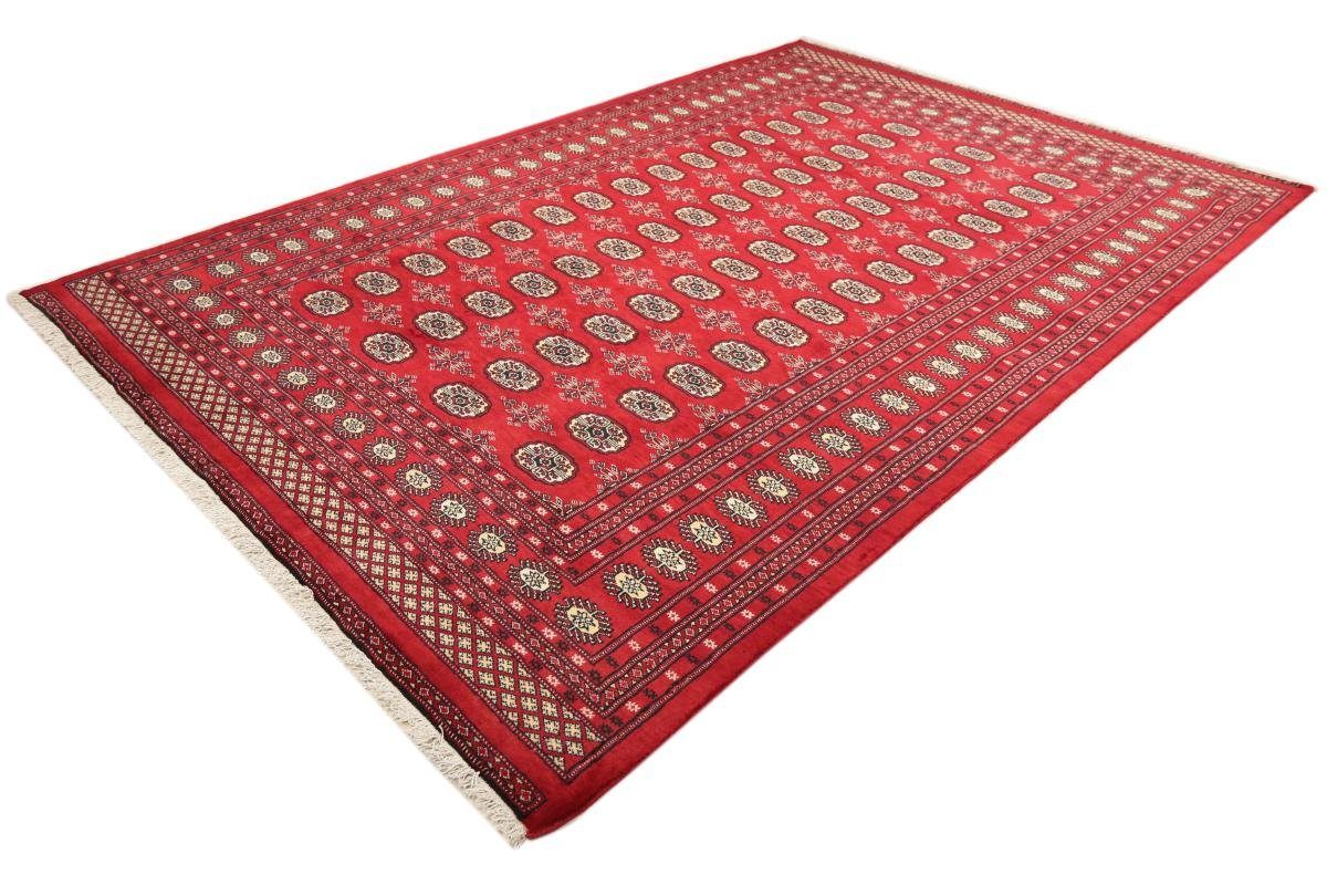 Orientteppich Pakistan Buchara 3ply 207x308 rechteckig, 8 Nain Höhe: Orientteppich, Handgeknüpfter mm Trading