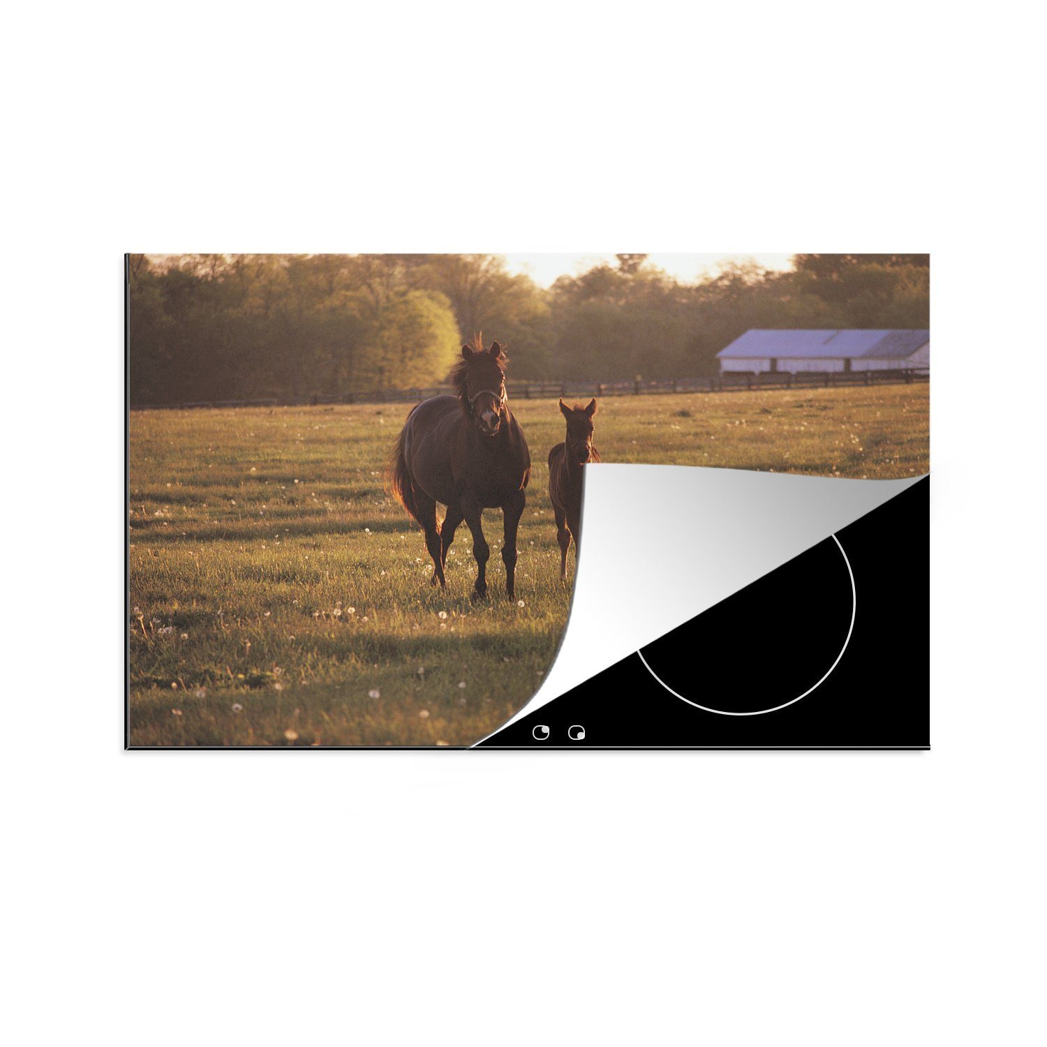 MuchoWow Herdblende-/Abdeckplatte Galoppierende Pferde, Vinyl, (1 tlg), 81x52 cm, Induktionskochfeld Schutz für die küche, Ceranfeldabdeckung