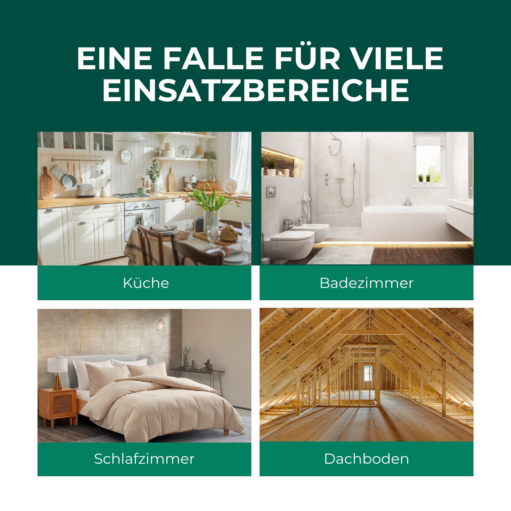 Silberkraft Insektenfalle Silberfischfalle – Effektive Lösung gegen Silberfische & Papierfische, Langzeitwirkung Ohne Giftstoff Effektive Prävention Einfache Anwendung