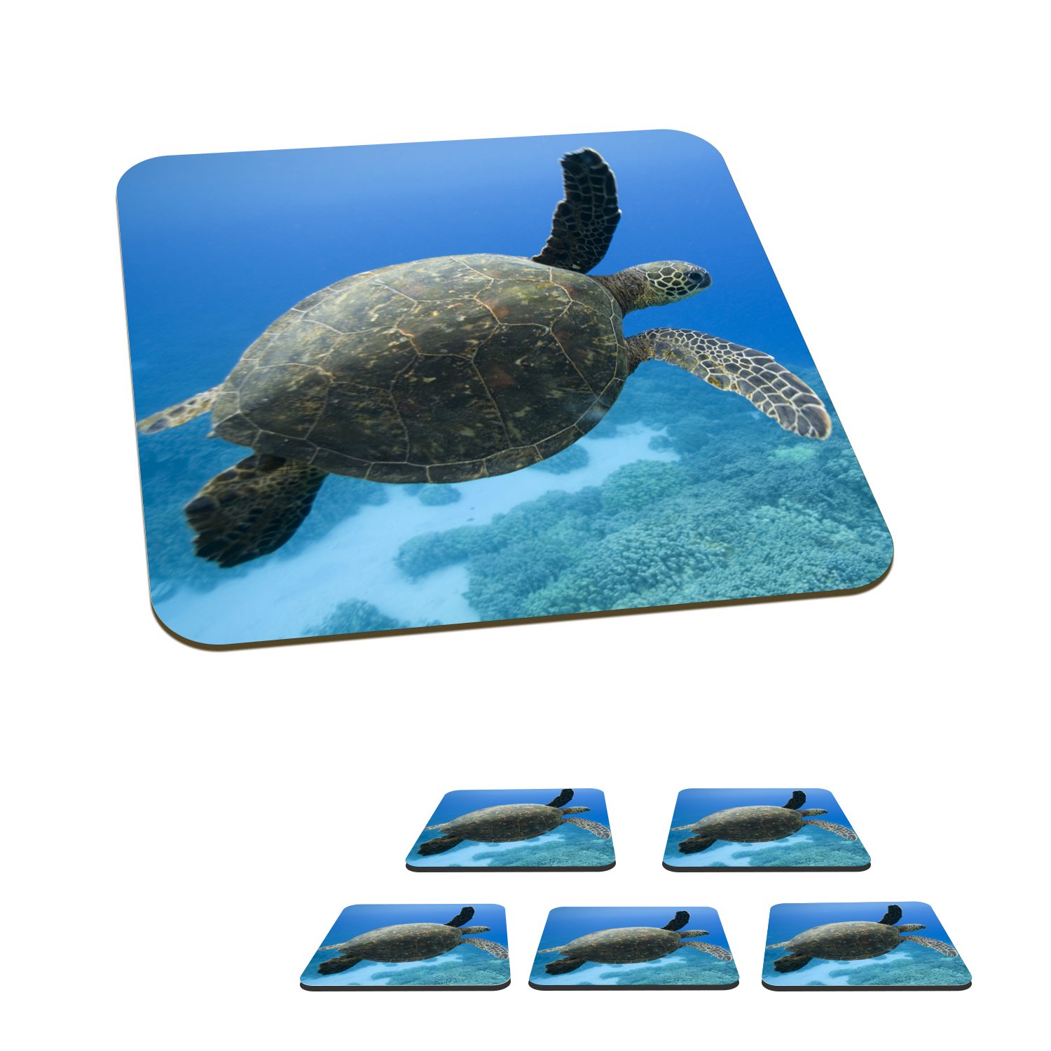 MuchoWow Glasuntersetzer Grüne schwimmende Schildkröte Fotodruck, Zubehör für Gläser, 6-tlg., Glasuntersetzer, Tischuntersetzer, Korkuntersetzer, Untersetzer, Tasse