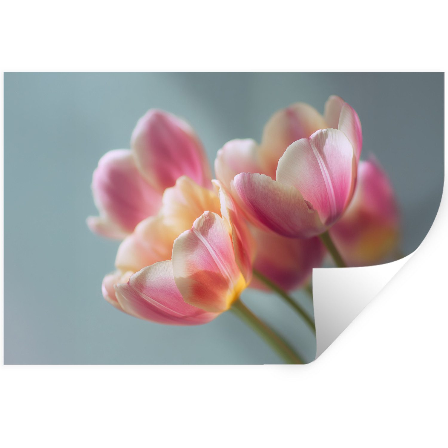 MuchoWow Wandsticker Tulpen - Rosa - Stiele (1 St), Wanddeko, Aufkleber, Wandtattoo, 120x80 cm