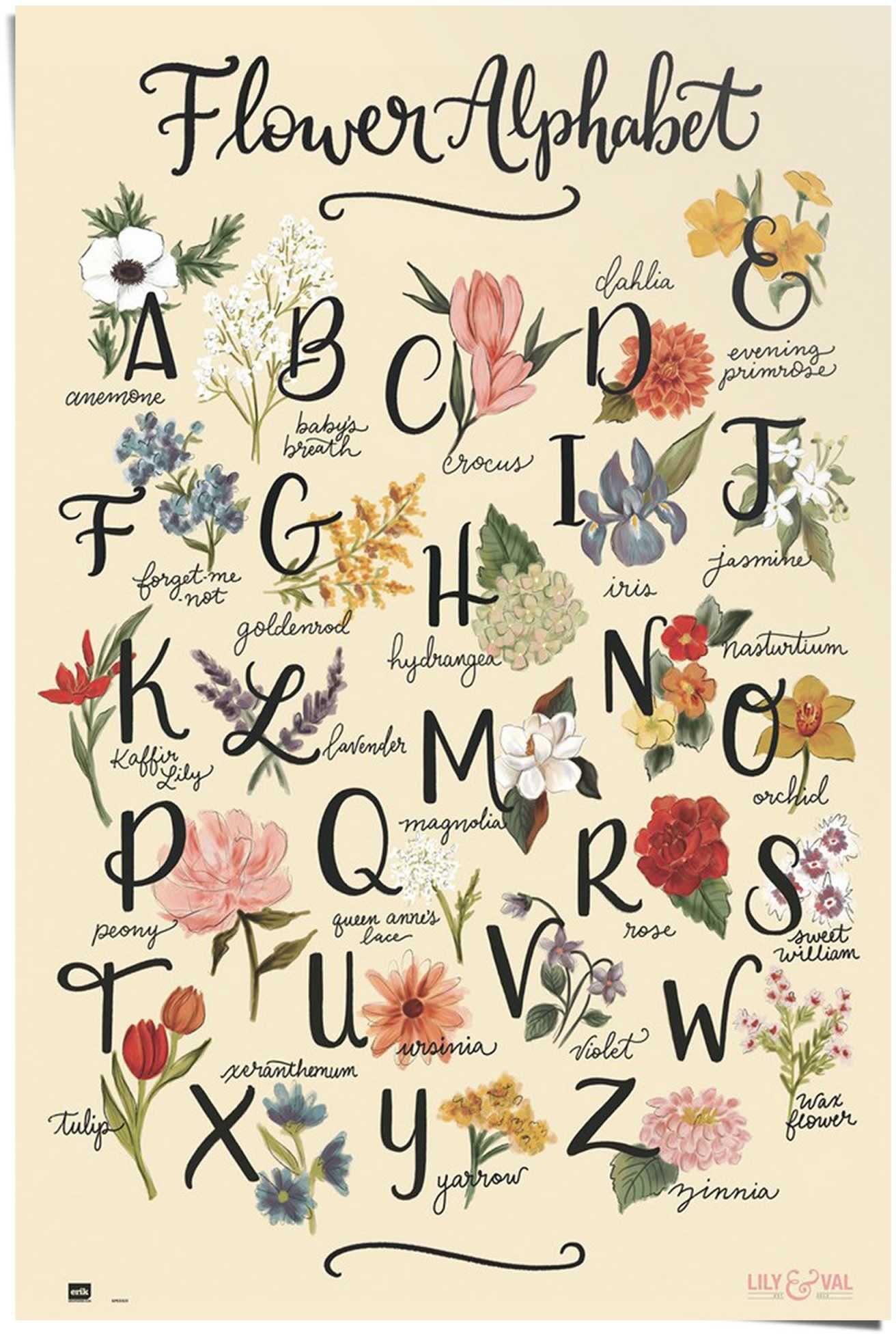 Reinders! Blumenalphabet Poster