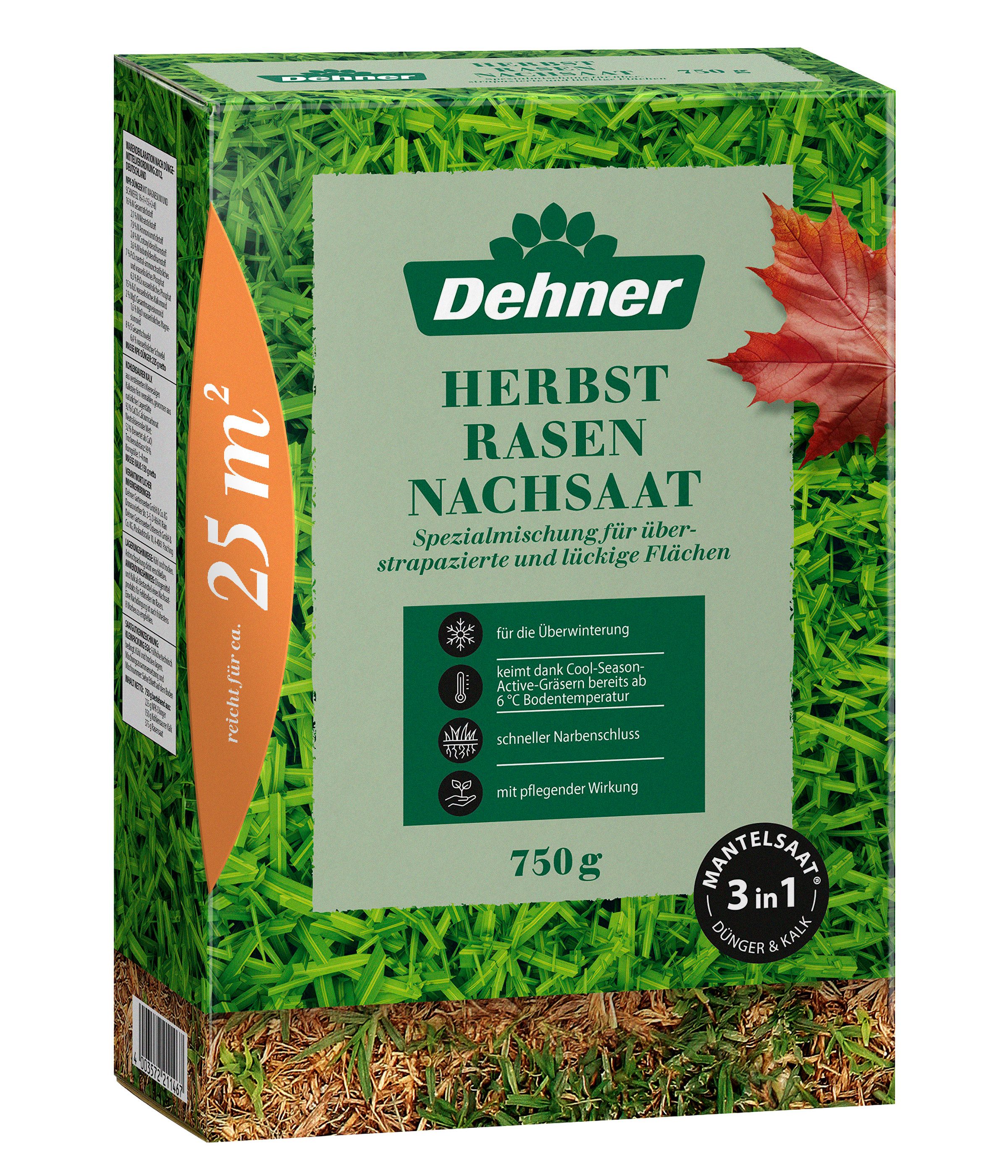 Dehner Rasensamen Herbst-Nachsaat Saatgut, schnell keimend, regenerierend, 750 g, 25 m², 750 kg, robust, nährstoffreich, ideal nach dem Sommer, pflegeleicht