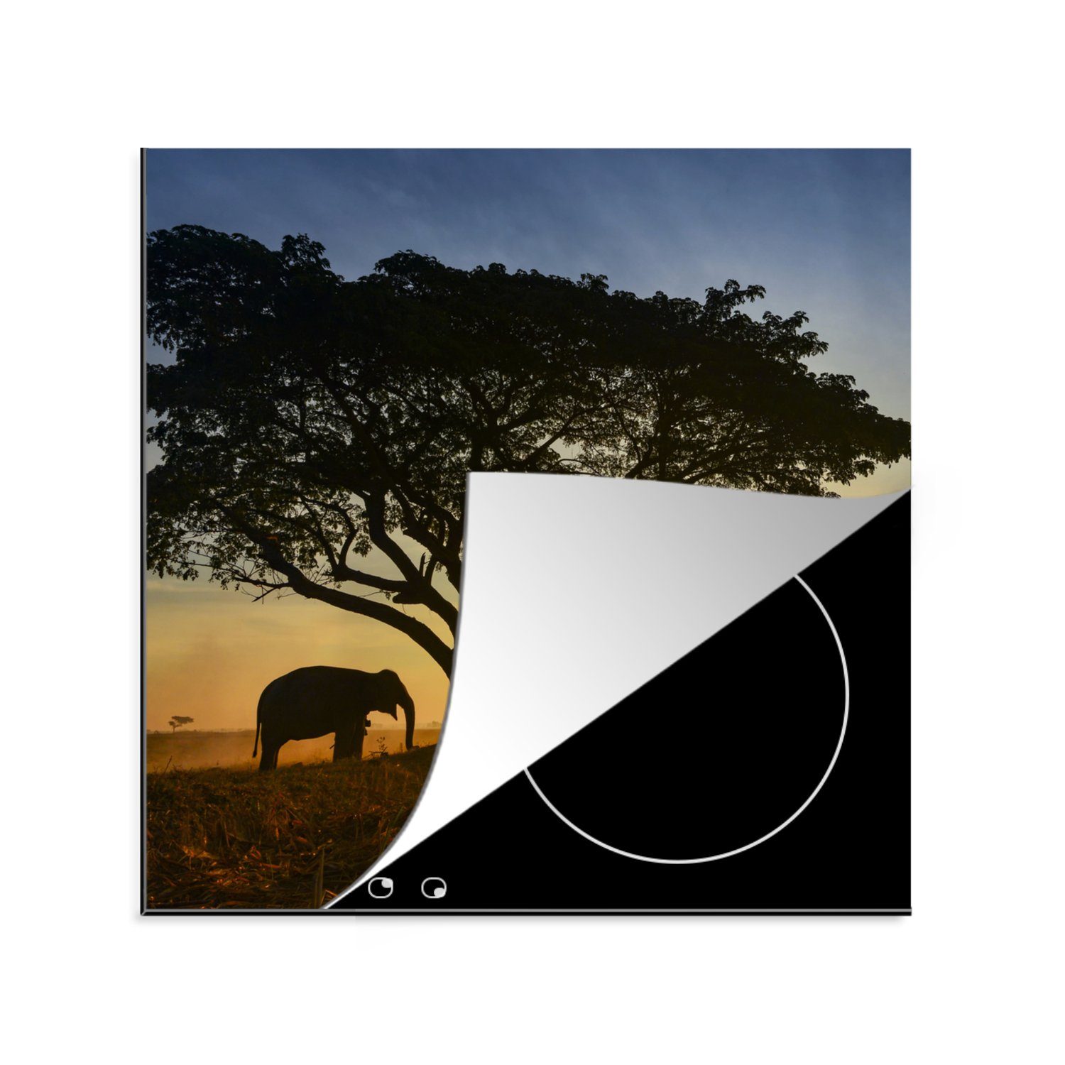 MuchoWow Herdblende-/Abdeckplatte Elefant - Sonne - Afrika, Vinyl, (1 tlg), 78x78 cm, Ceranfeldabdeckung, Arbeitsplatte für küche