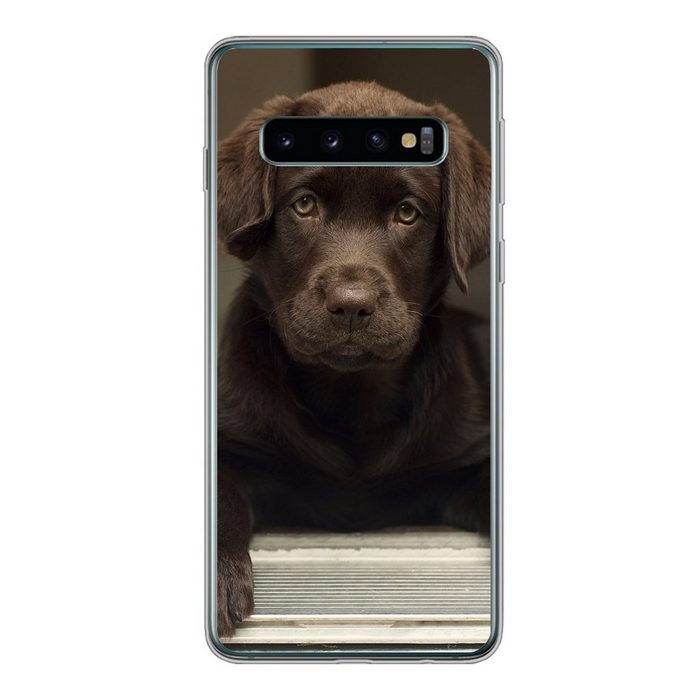 MuchoWow Handyhülle Niedlicher Labrador Retriever schaut in die Kamera Phone Case Handyhülle Samsung Galaxy S10 Silikon Schutzhülle