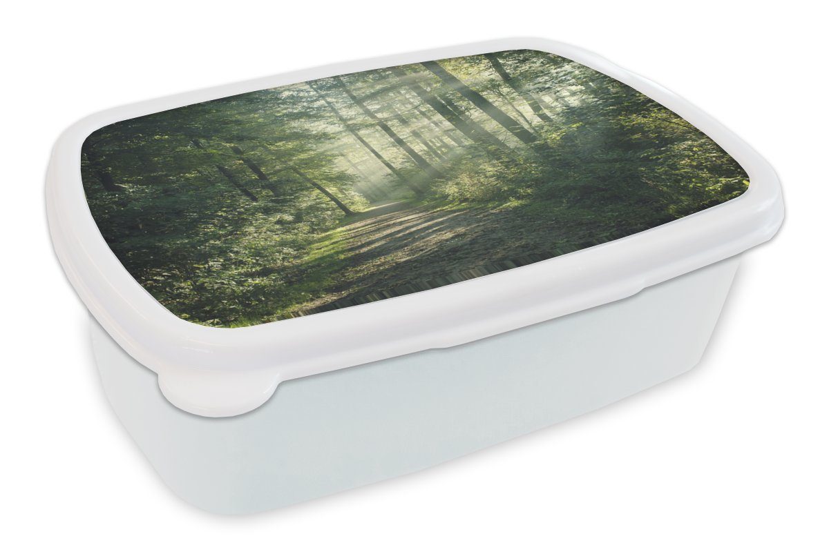 (2-tlg), Kinder MuchoWow - für Grün Wald Erwachsene, - Lunchbox Brotbox für Brotdose, und Sonne - - Jungs Mädchen und Weg Kunststoff, Bäume - weiß Natur,