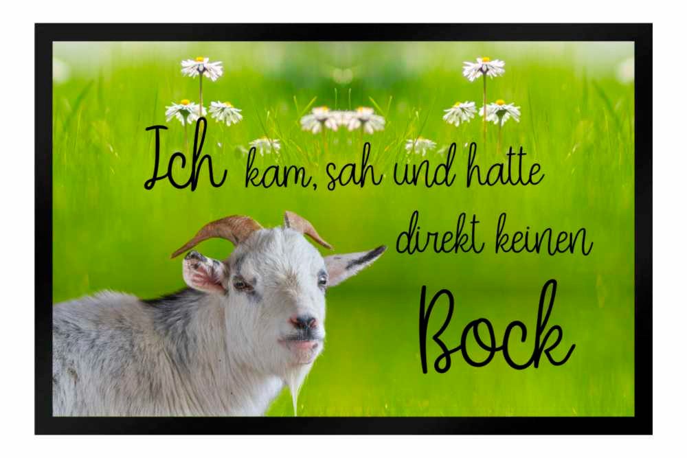 Ladreas Fußmatte Schmutzfangmatte Kam sah und hatte keinen Bock F442, 60x40