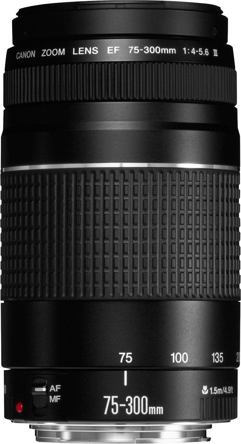 Canon EF 75-300mm f/4-5.6 III Zoomobjektiv, (Passend für Canon EOS EF/EF-S System Kameras (z.B. EOS 250D)