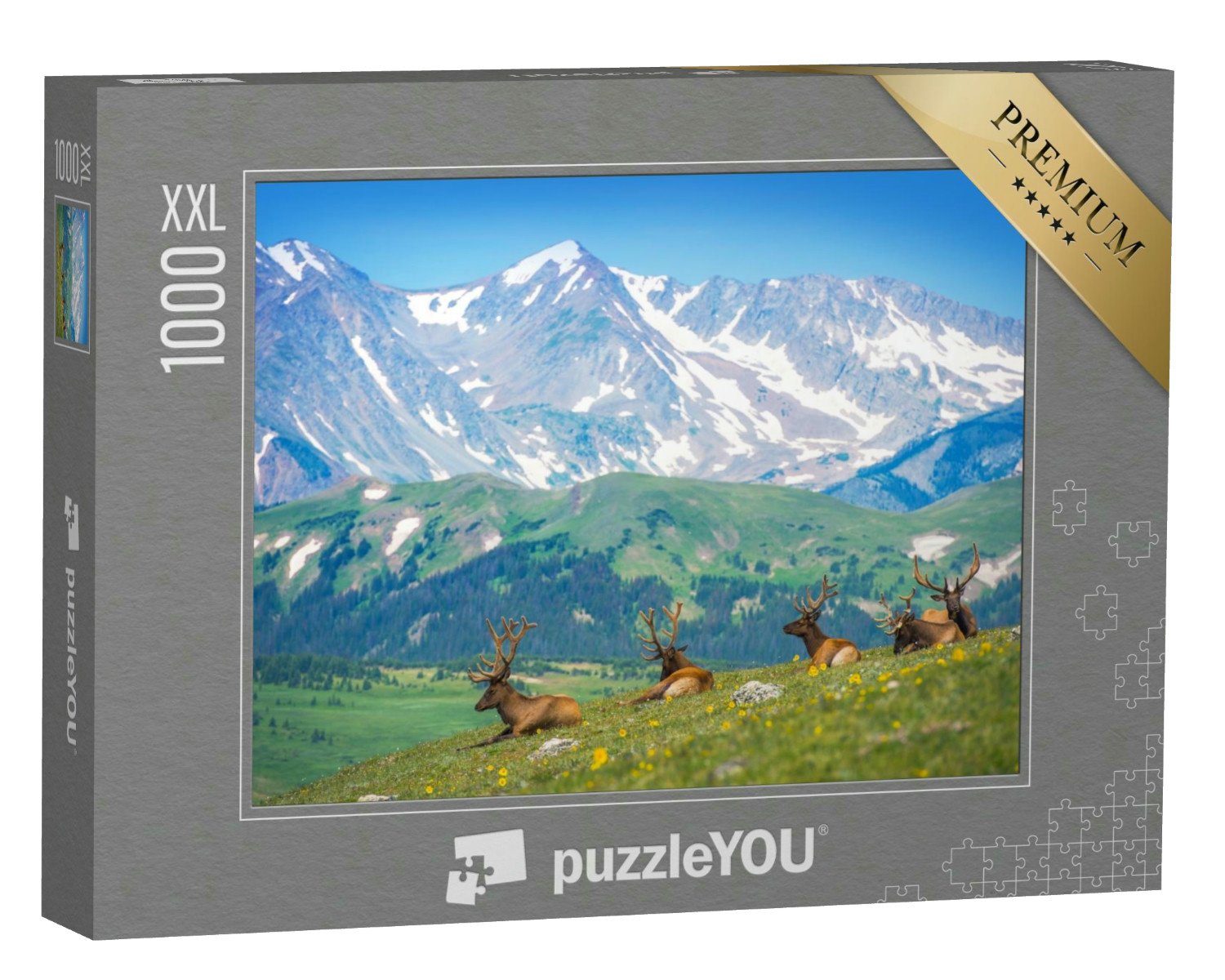 puzzleYOU Puzzle Nordamerikanische Elche in Colorado, USA, 1000 Puzzleteile, puzzleYOU-Kollektionen USA