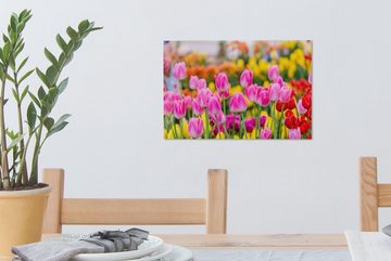 OneMillionCanvasses® Leinwandbild Tulpen - Farben - Frühling, (1 St), Wandbild Leinwandbilder, Aufhängefertig, Wanddeko, 30x20 cm