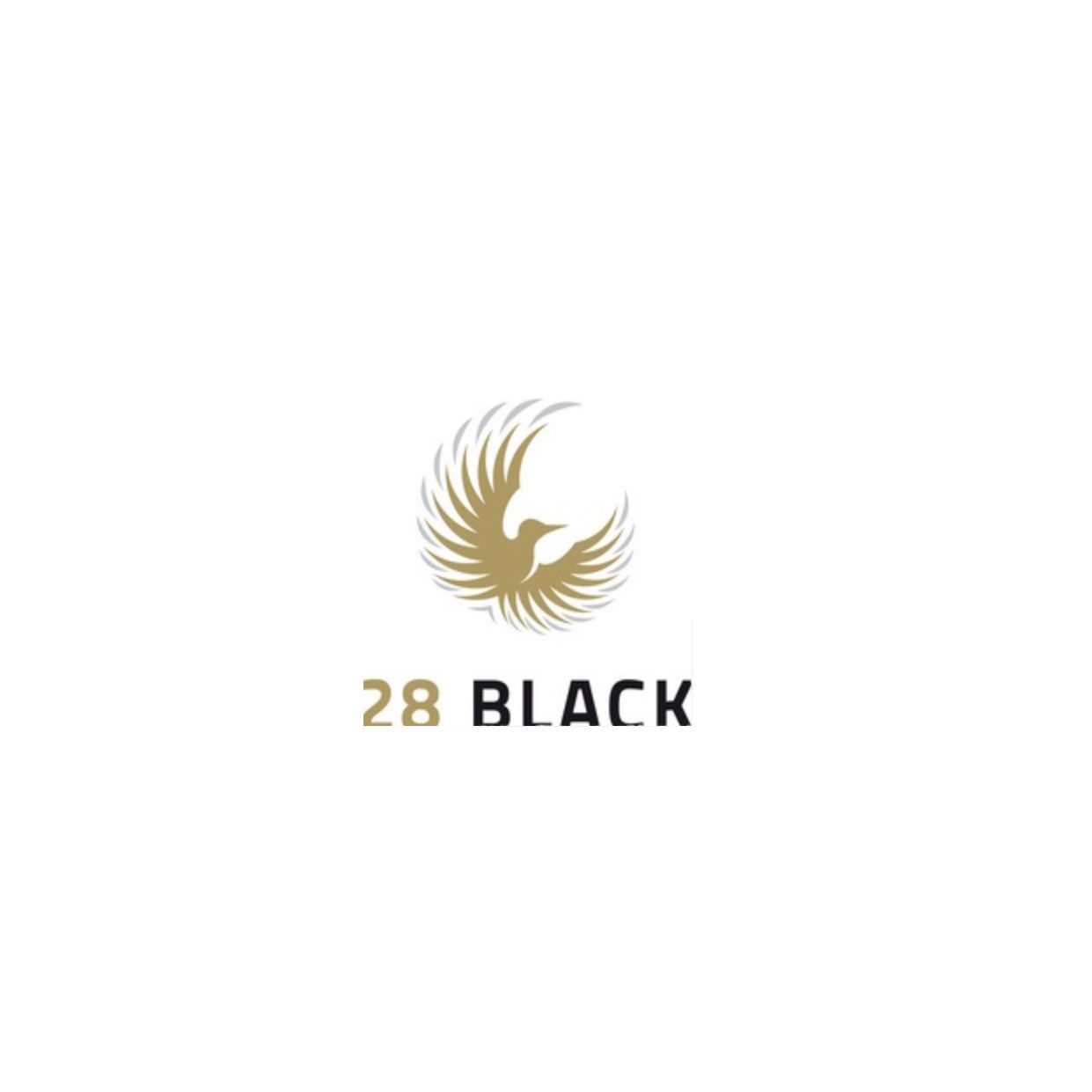 Schwarze Dose 28 Black