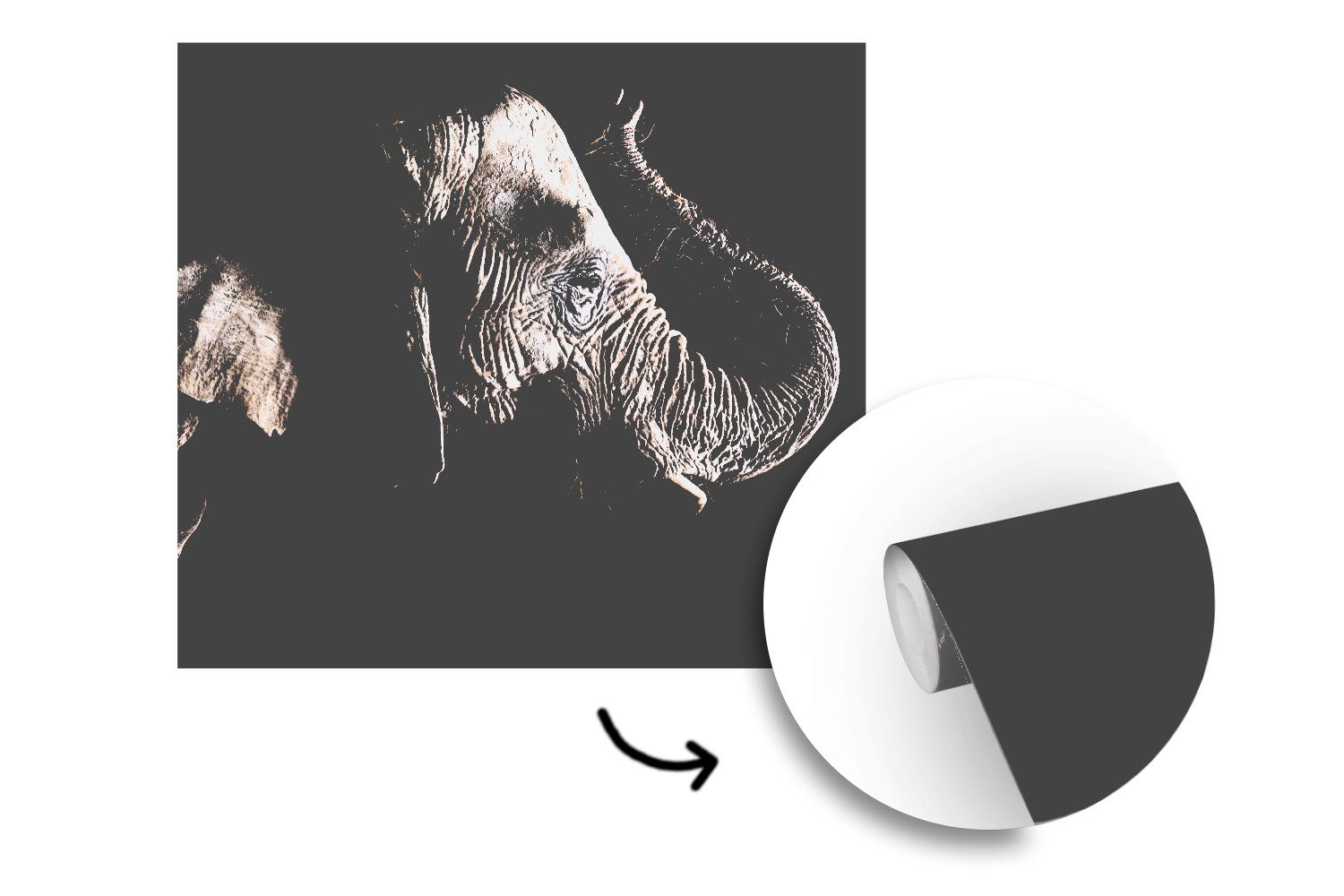 - (4 St), - Vliestapete Fototapete MuchoWow Elefant bedruckt, Tiere Natur, für Küche, Schwarz Matt, - Wohnzimmer Fototapete Schlafzimmer