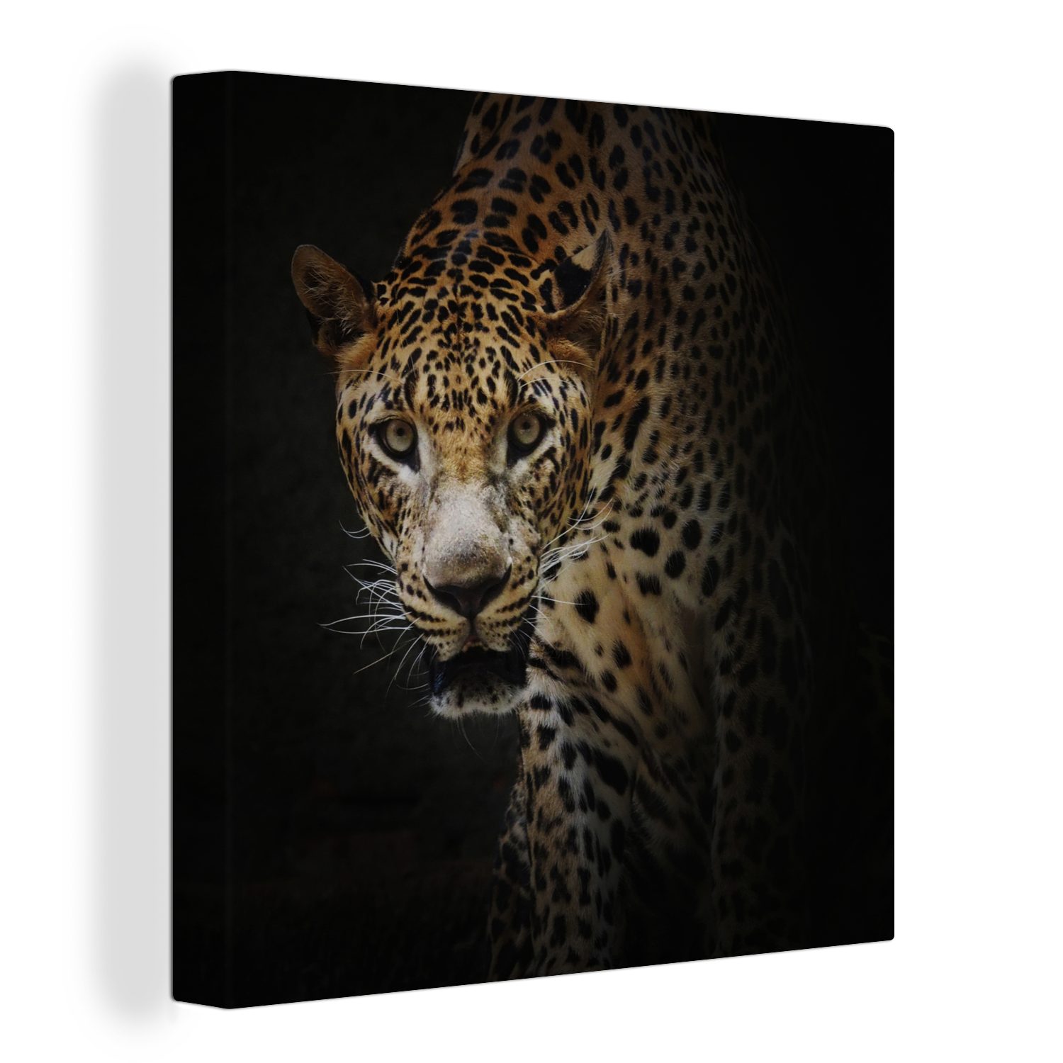 OneMillionCanvasses® Leinwandbild Leopard - Wilde Tiere - Licht, (1 St), Leinwand Bilder für Wohnzimmer Schlafzimmer bunt