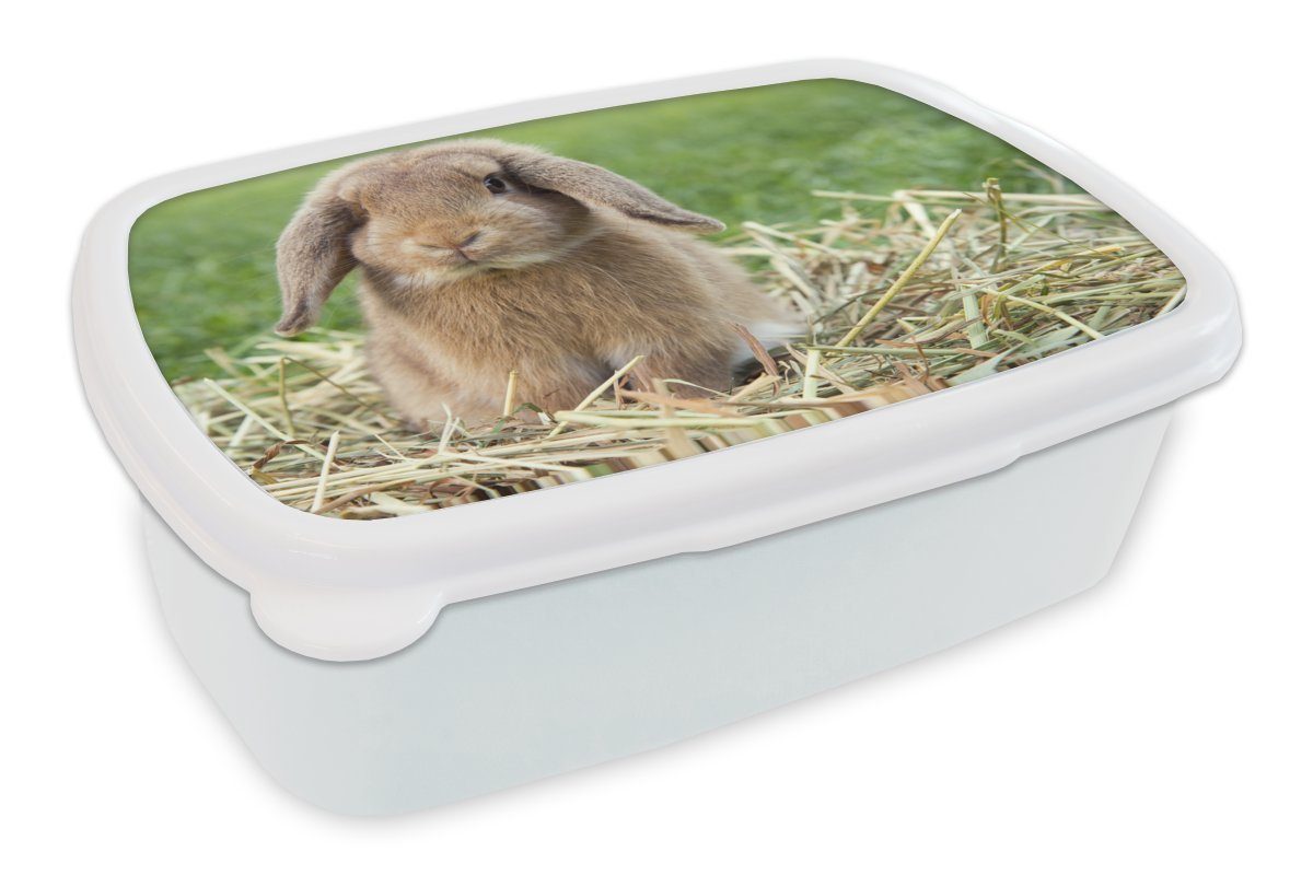 MuchoWow Lunchbox Kaninchen in grüner Landschaft, Kunststoff, (2-tlg), Brotbox für Kinder und Erwachsene, Brotdose, für Jungs und Mädchen weiß