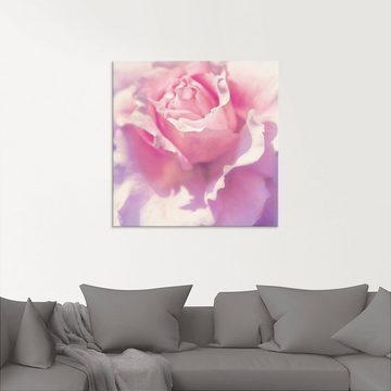 Artland Glasbild Rosa, Blumen (1 St), in verschiedenen Größen