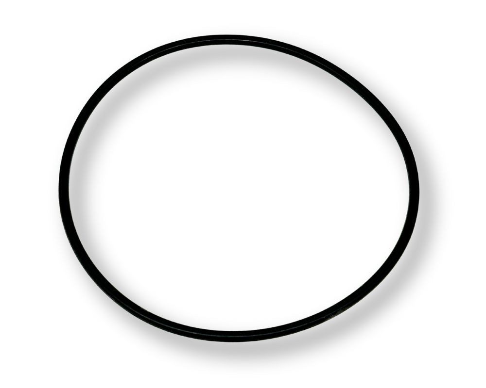 Speck Pumpen Filterpumpe O-Ring für Gehäuse Speck BADU 90