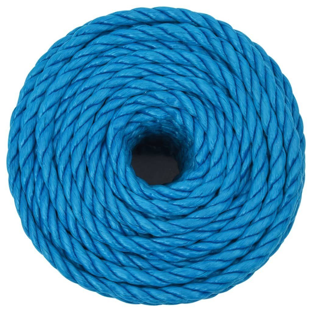 vidaXL Arbeitsseil Blau 20 mm 25 m Polypropylen Seil (1-tlg) günstig online kaufen