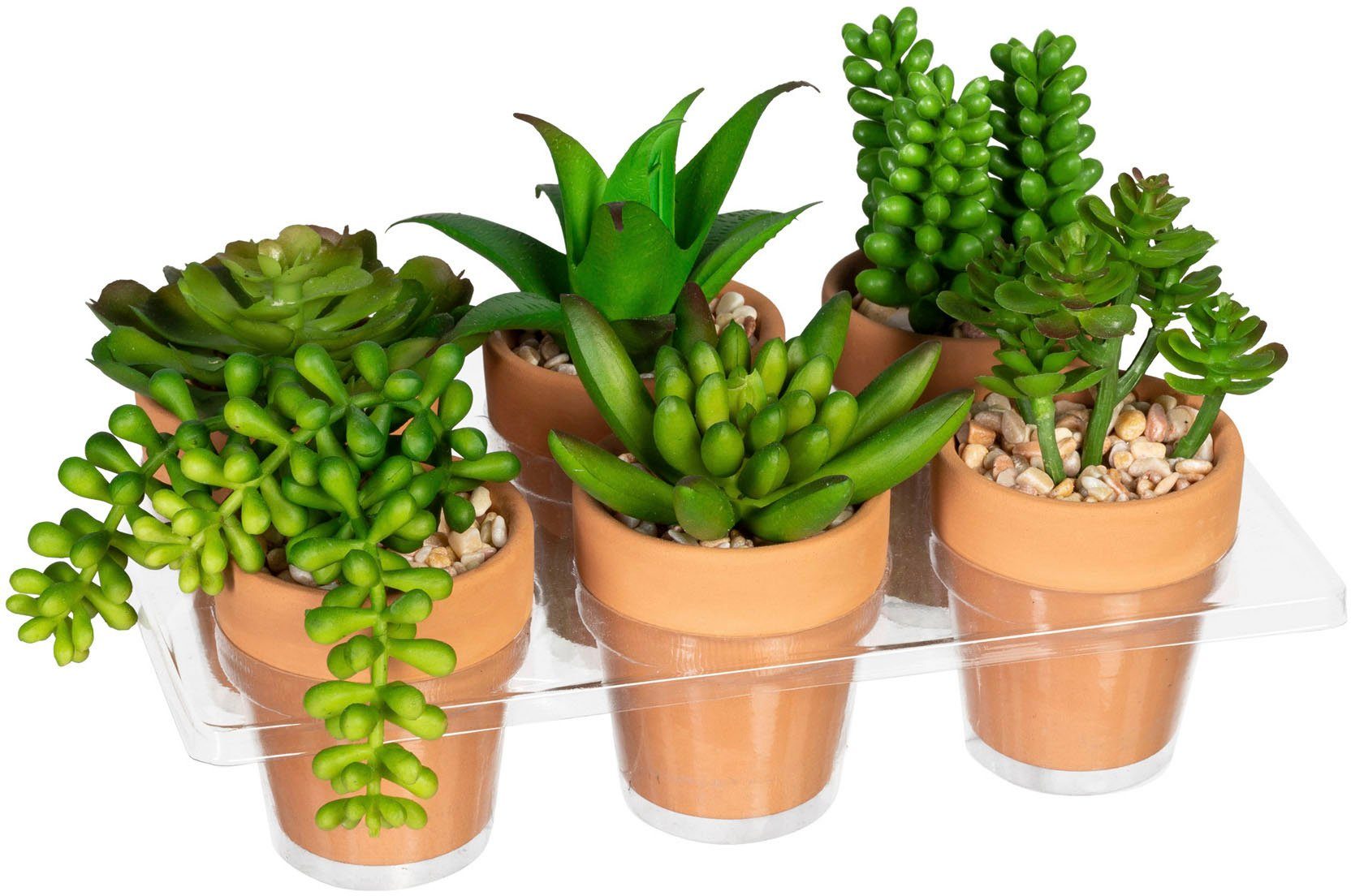 5 Stück Künstliche Sukkulenten Mini Faux Bunte Topfpflanzen Indoor Outdoor 