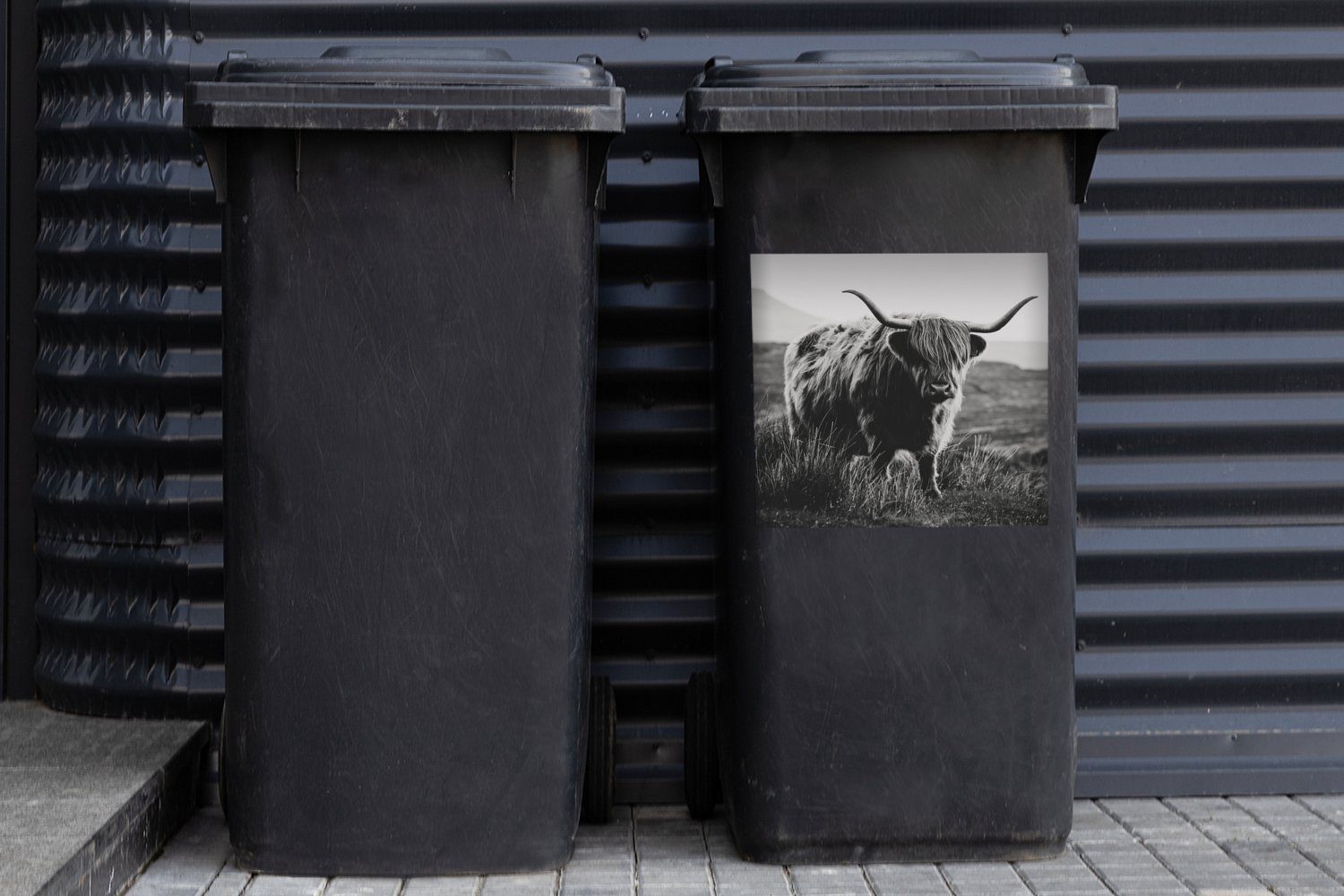 MuchoWow Wandsticker Schottischer Abfalbehälter - - Natur Mülleimer-aufkleber, Mülltonne, Schwarz - - Sticker, St), und (1 Hochlandbewohner Tiere Kühe Container