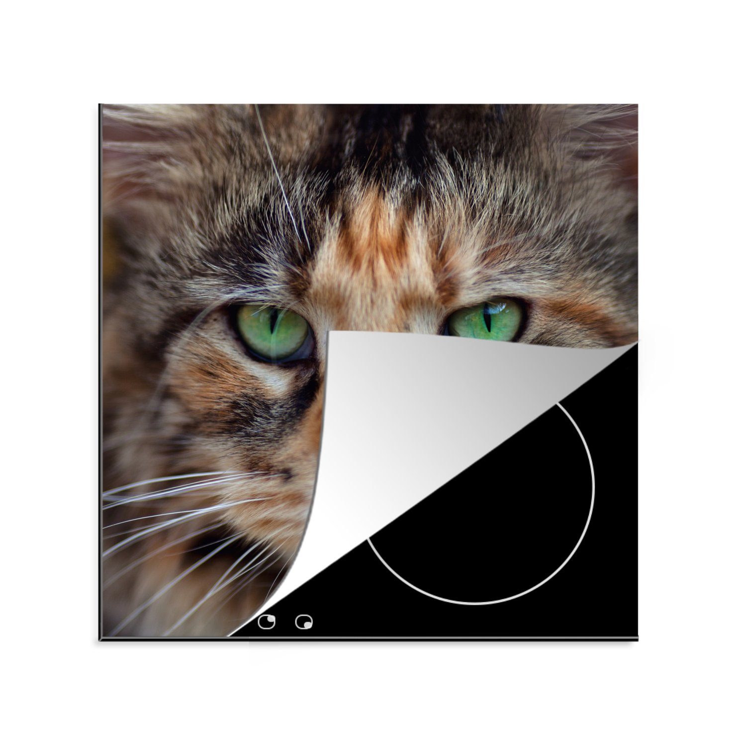 MuchoWow Herdblende-/Abdeckplatte Maine Coon Katze mit grünen Augen, Vinyl, (1 tlg), 78x78 cm, Ceranfeldabdeckung, Arbeitsplatte für küche