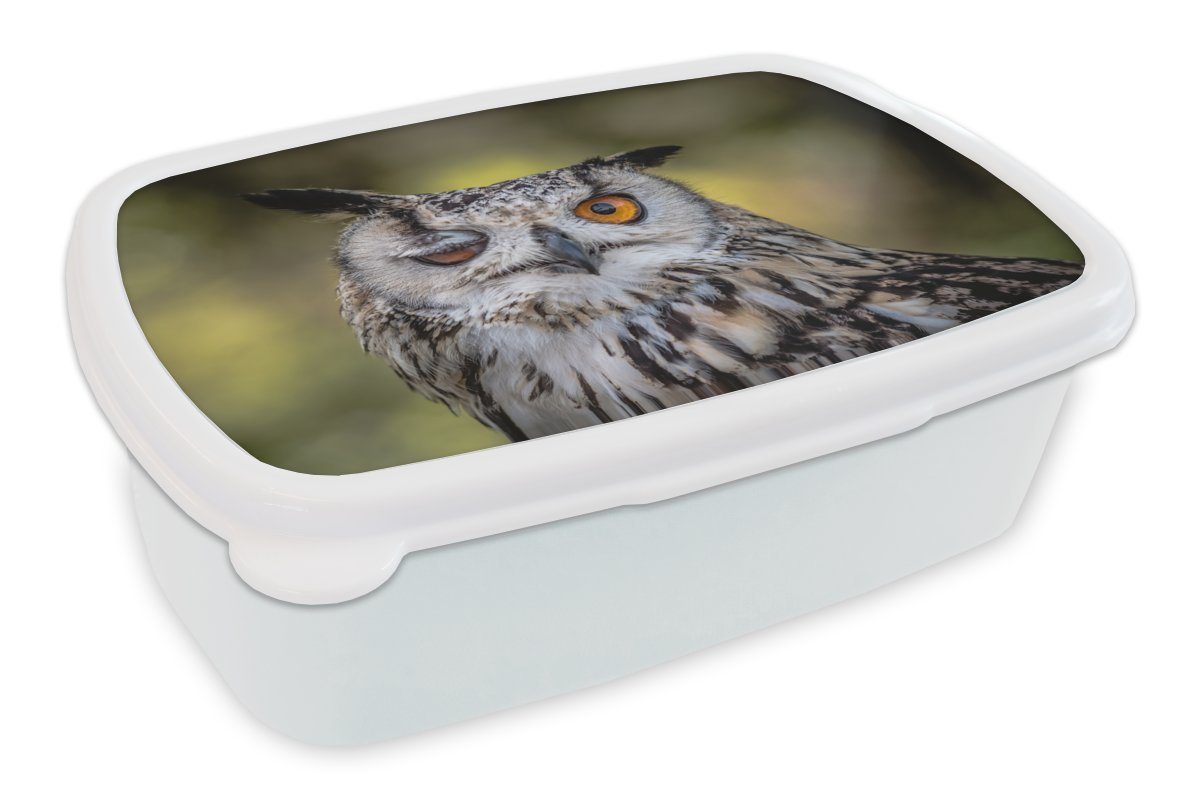 MuchoWow Lunchbox Eule - Auge - Orange, Kunststoff, (2-tlg), Brotbox für Kinder und Erwachsene, Brotdose, für Jungs und Mädchen weiß