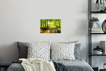 MuchoWow Wandsticker Wald - Landschaft - Wasser - Bäume - Sonne - Grün - Natur (1 St), Wandaufkleber, Wandtattoo, Selbstklebend, Wohnzimmer, Schlafzimmer