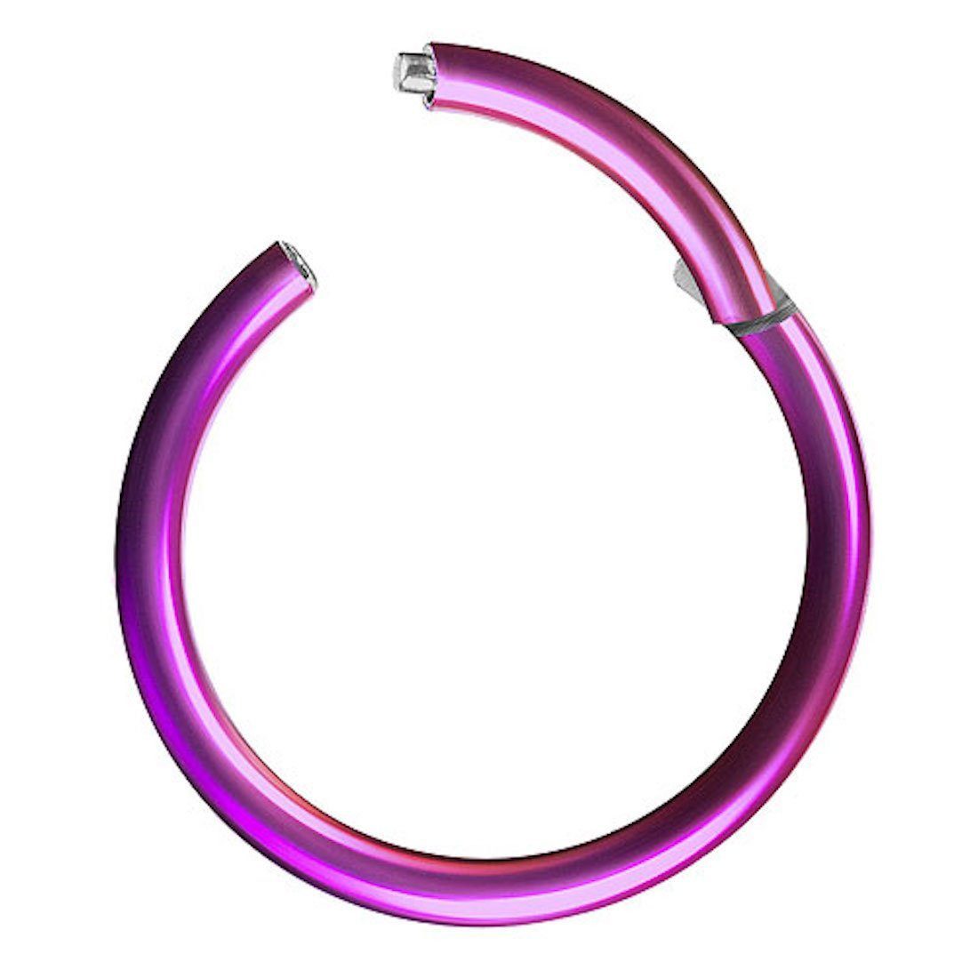 Taffstyle Nasenpiercing Clicker Ohr Universal Piercing Titan G23 oder Chirurgenstahl (Vielseitiger Segmentring aus Titan oder Chirurgenstahl in vielen Farben und Größen), Scharnier Klicker für Septum Ohr Nase Lippe