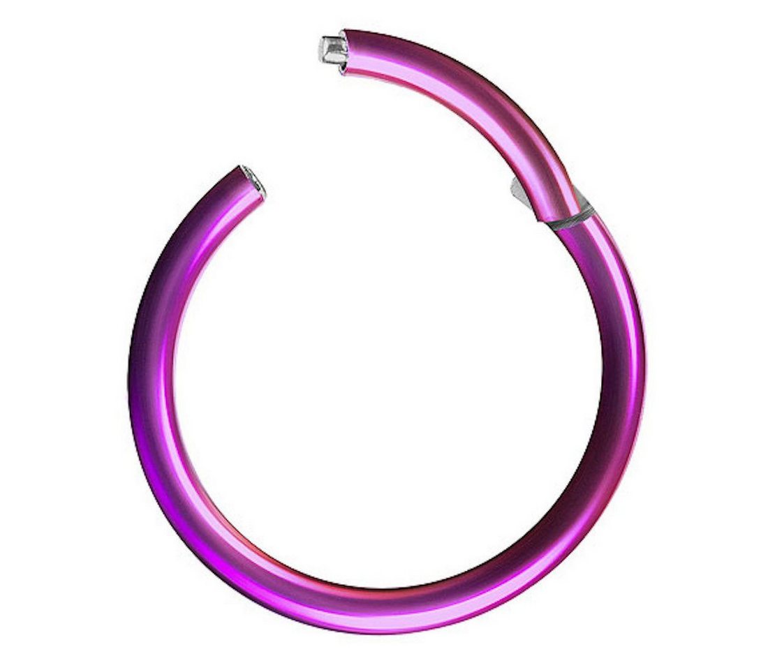 Taffstyle Nasenpiercing Clicker Ohr Universal Piercing Titan G23 oder Chirurgenstahl (Vielseitiger Segmentring aus Titan oder Chirurgenstahl in vielen Farben und Größen), Scharnier Klicker für Septum Ohr Nase Lippe