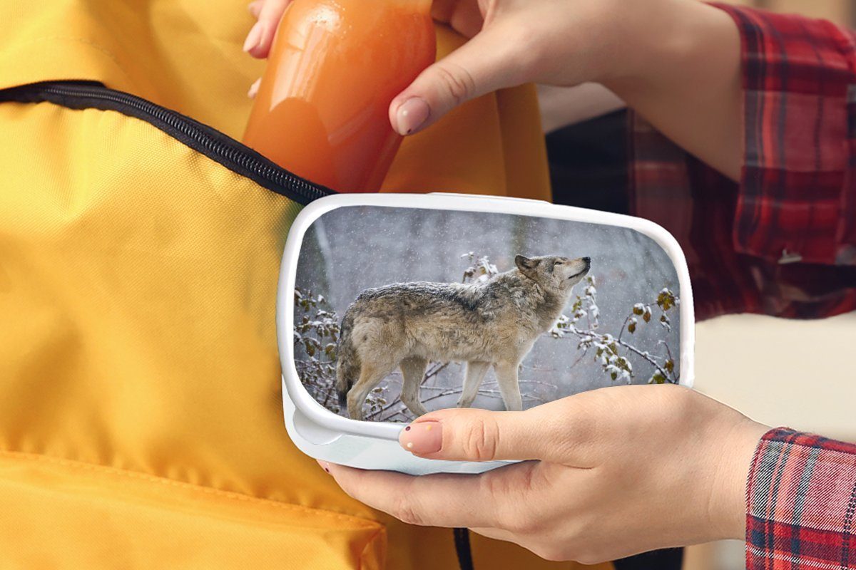 Brotdose, Kunststoff, - Brotbox für MuchoWow Schnee Mädchen Lunchbox (2-tlg), Erwachsene, und und Winter, für Jungs - weiß Kinder Wolf