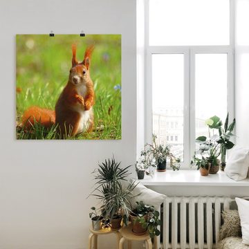 Artland Poster Eichhörnchen Kontakt, Wildtiere (1 St), als Leinwandbild, Wandaufkleber oder Poster in versch. Größen