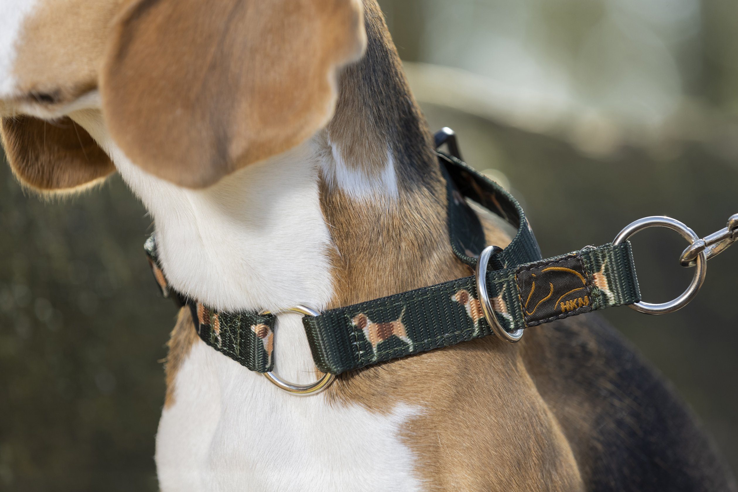 Hunde-Halsband -Beagle-, HKM Polypropylen Hundehalsband 100%