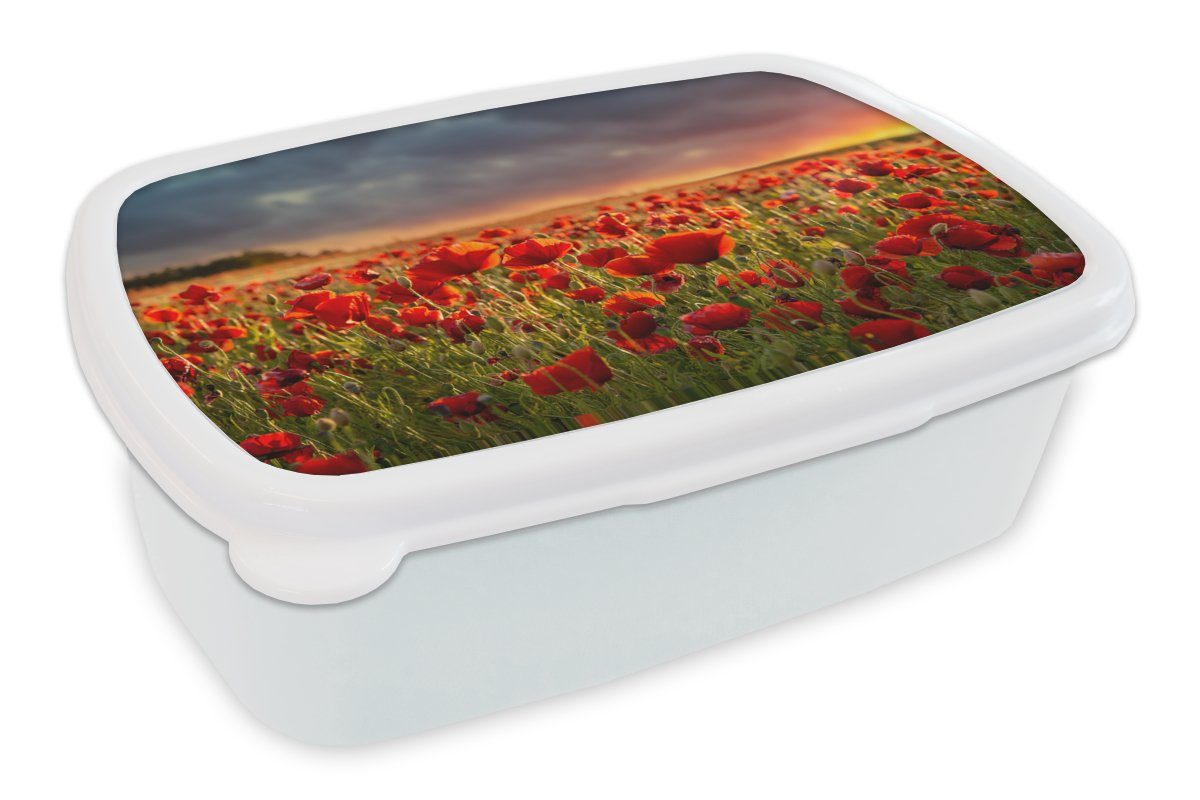 MuchoWow Lunchbox Sonnenuntergang - Mohnblumen - Rot - Blumen - Feld - Natur, Kunststoff, (2-tlg), Brotbox für Kinder und Erwachsene, Brotdose, für Jungs und Mädchen weiß