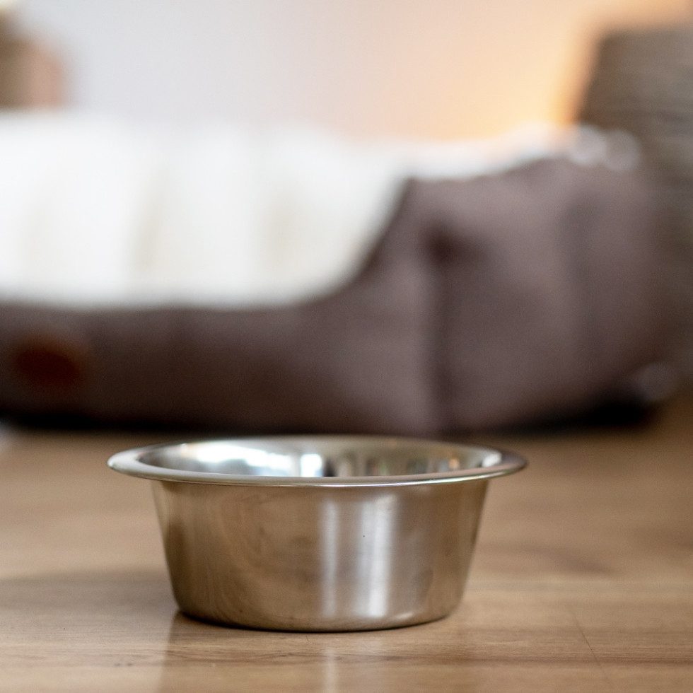 Nobby Hunde-Futterspender Nobby Hundenapf Edelstahl Ø 13 cm - 450 ml silber