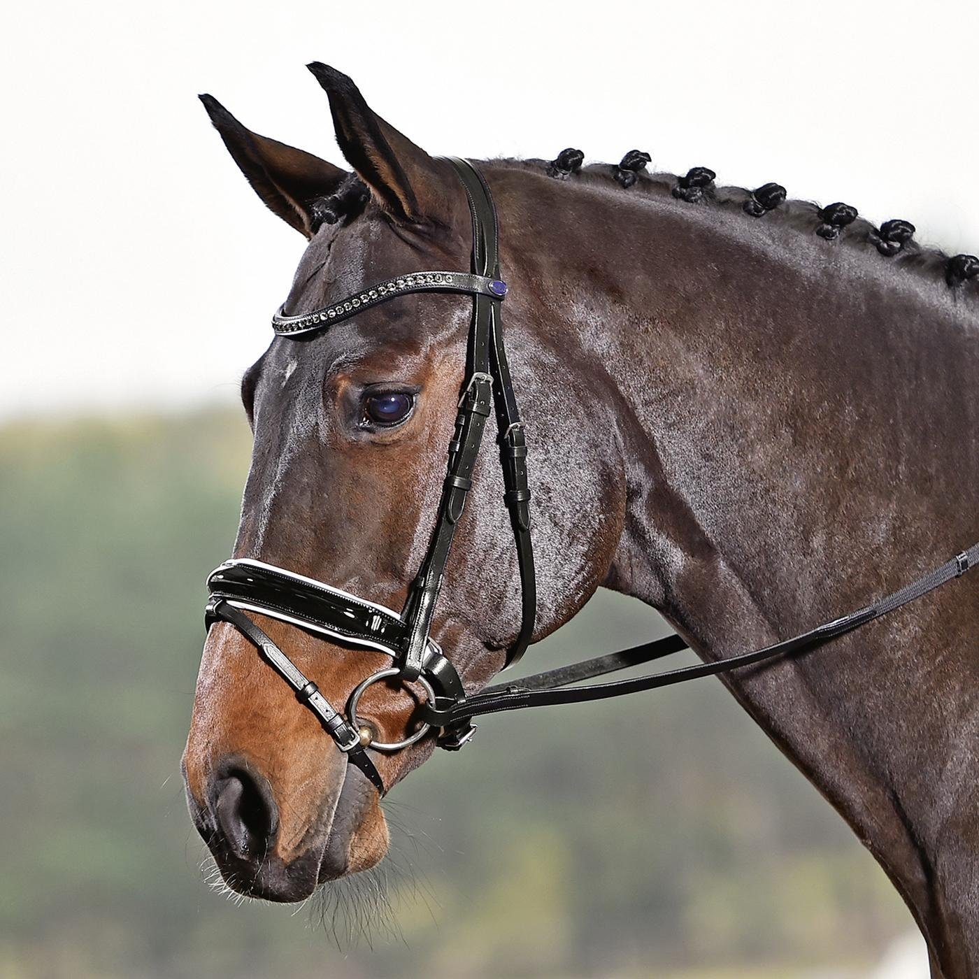 BUSSE Trensenzaum Busse Trense LUXURY