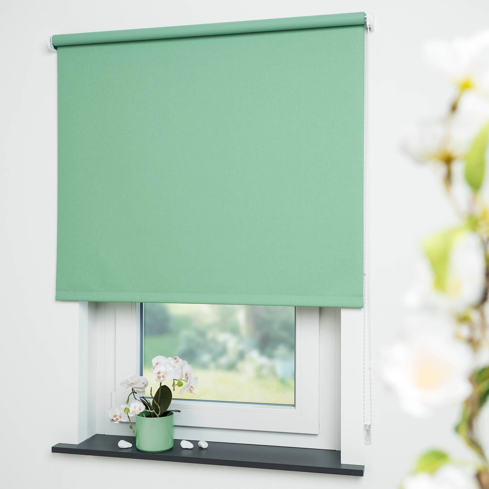 Seitenzugrollo Uni, Liedeco, verdunkelnd, mit Bohren, verschraubt günstig online kaufen