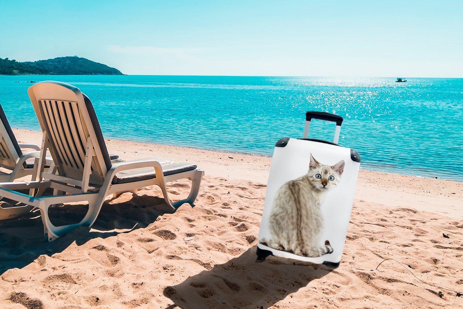 Reisetasche Bengalische Katze Rollen, Handgepäckkoffer Ferien, für 4 rollen, Reisekoffer auf MuchoWow mit Hintergrund, weißem Trolley, Handgepäck