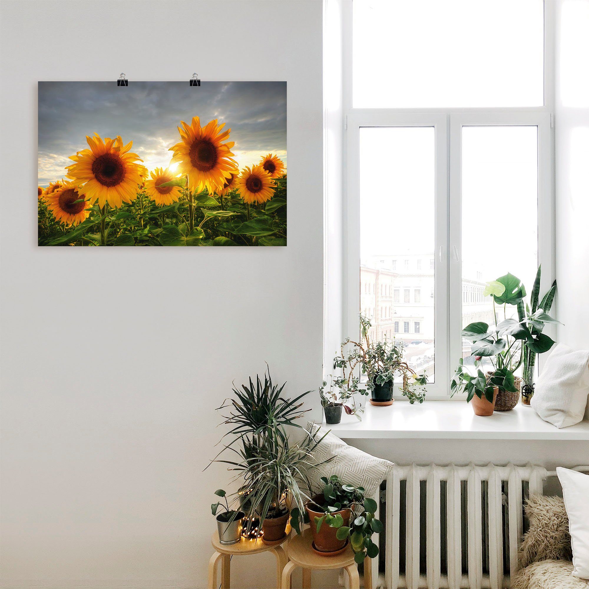 als Wandbild II, Größen Blumen Poster Leinwandbild, (1 versch. Artland Alubild, in oder Wandaufkleber Sonnenblumen St),