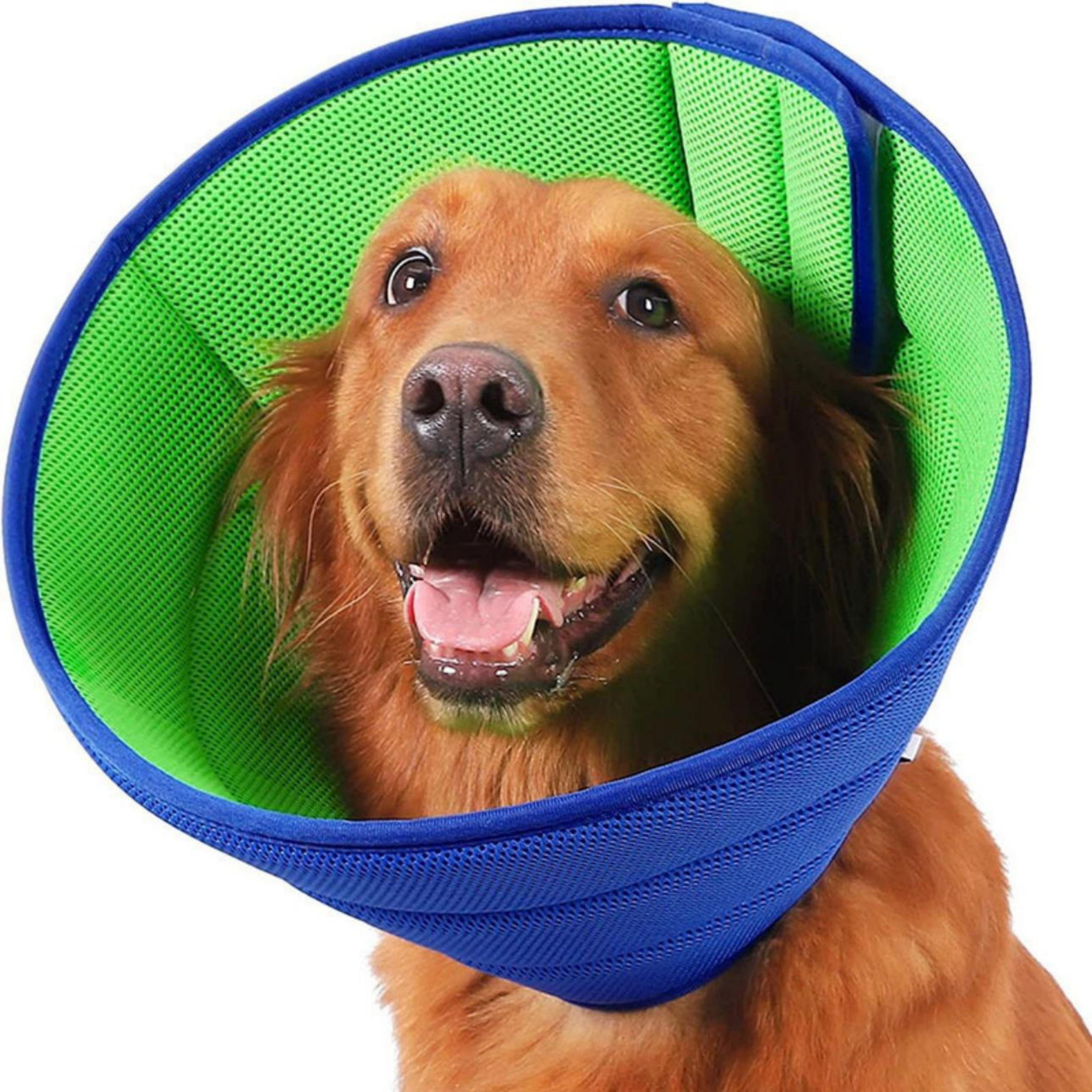 Hundeweste Hunde Schutzkragen- Einstellbar, S-XL
