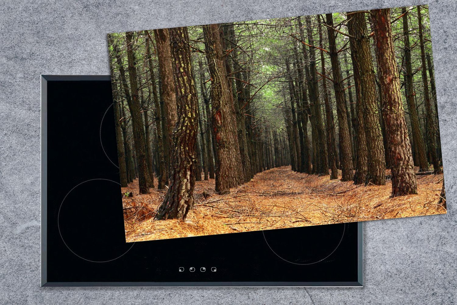 Herdblende-/Abdeckplatte - Schutz Vinyl, Induktionskochfeld für MuchoWow Wald, cm, tlg), Dekoration die 80x52 - Herbst (1 Ceranfeldabdeckung küche,