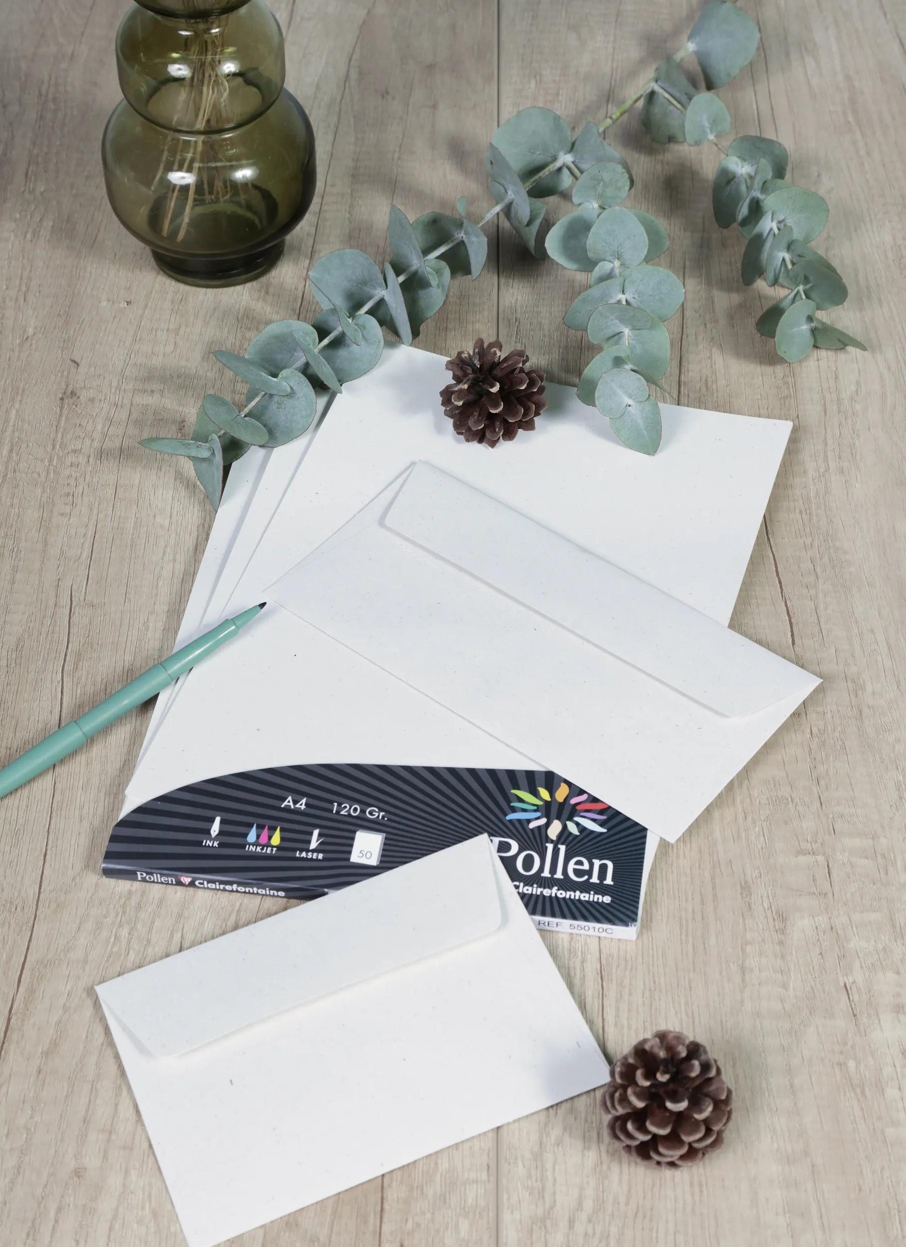Pollen Briefumschlag Kollektion Natur, Packung mit 50 Blatt A4 120g/m2 Natura 55010C, Bogen