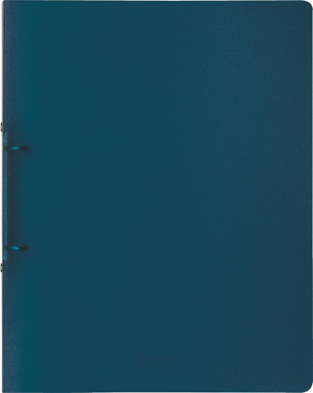 BRUNNEN Schulheft BRUNNEN Ringbuch FACT!pp A4 - Professionelle Organisation in elegantem